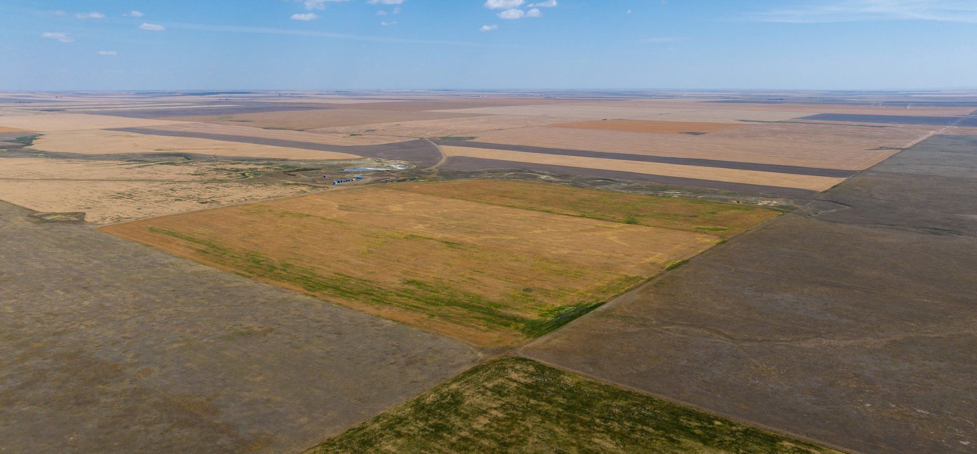 Hill County Organic & CRP Farm
