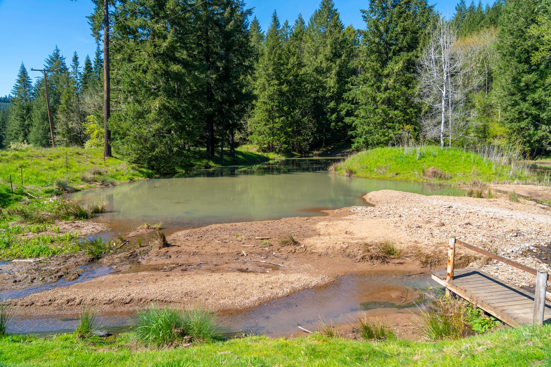 Mosby Creek Farm & Forest