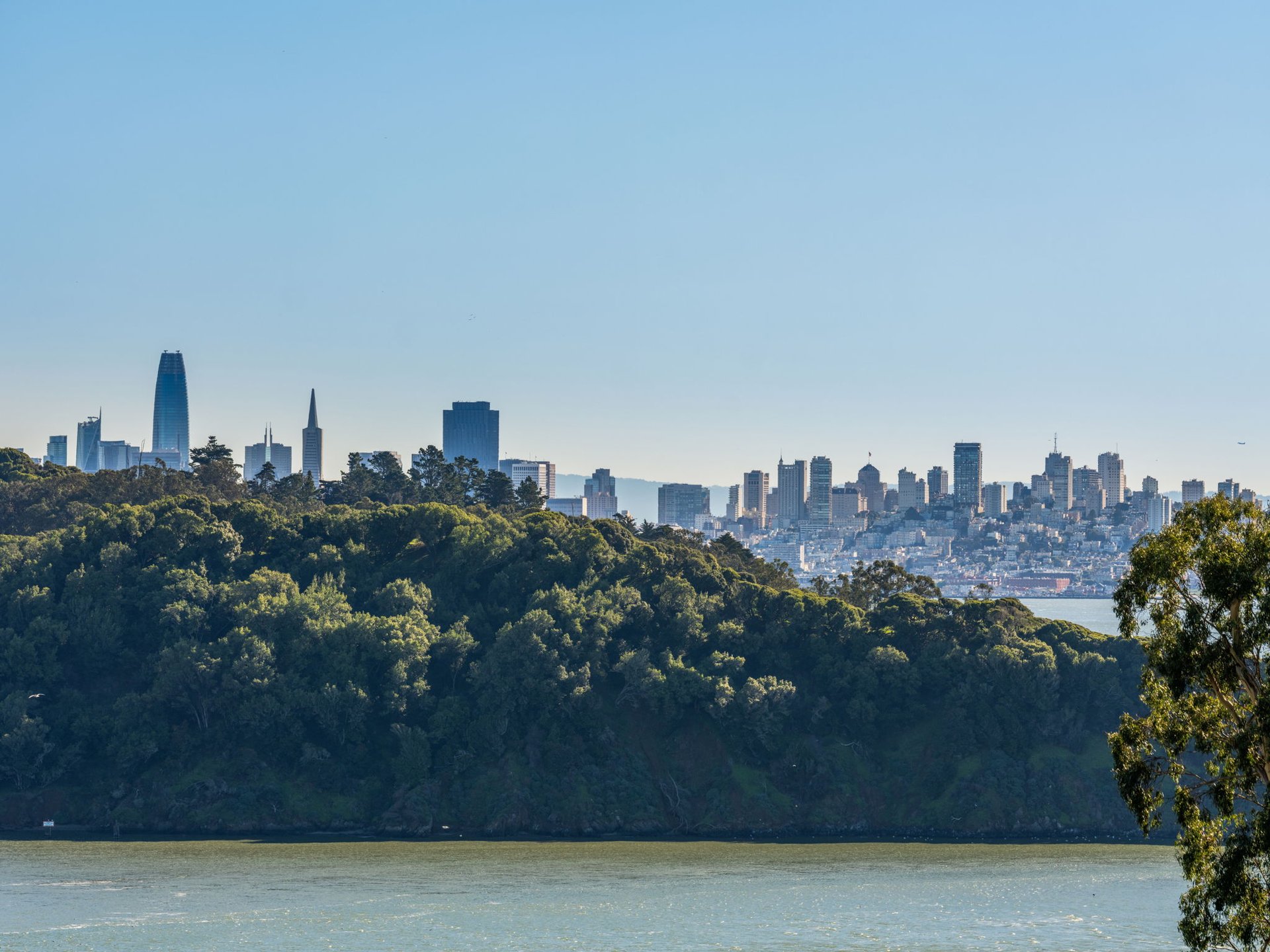 Spectacular Views of the Bay and Golden Gate Bridge