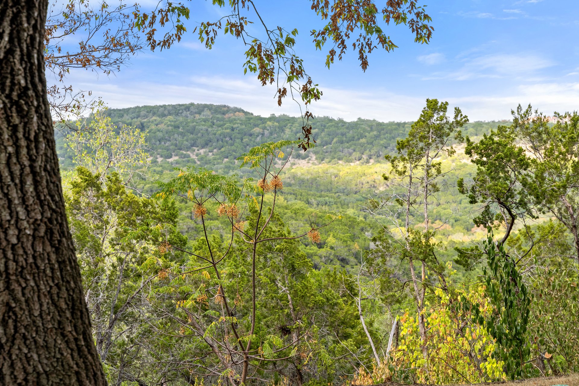 1409 Old Wagon Road
