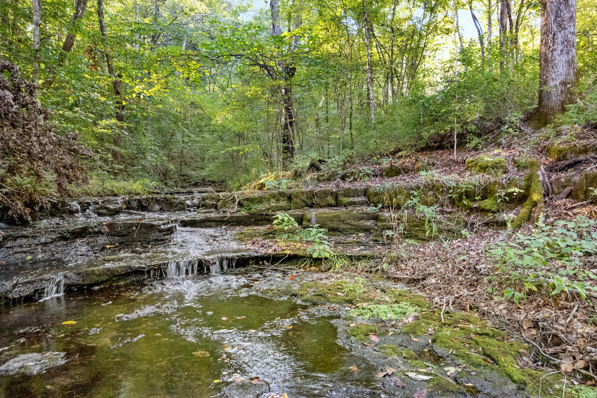 8192 Shoals Branch Road