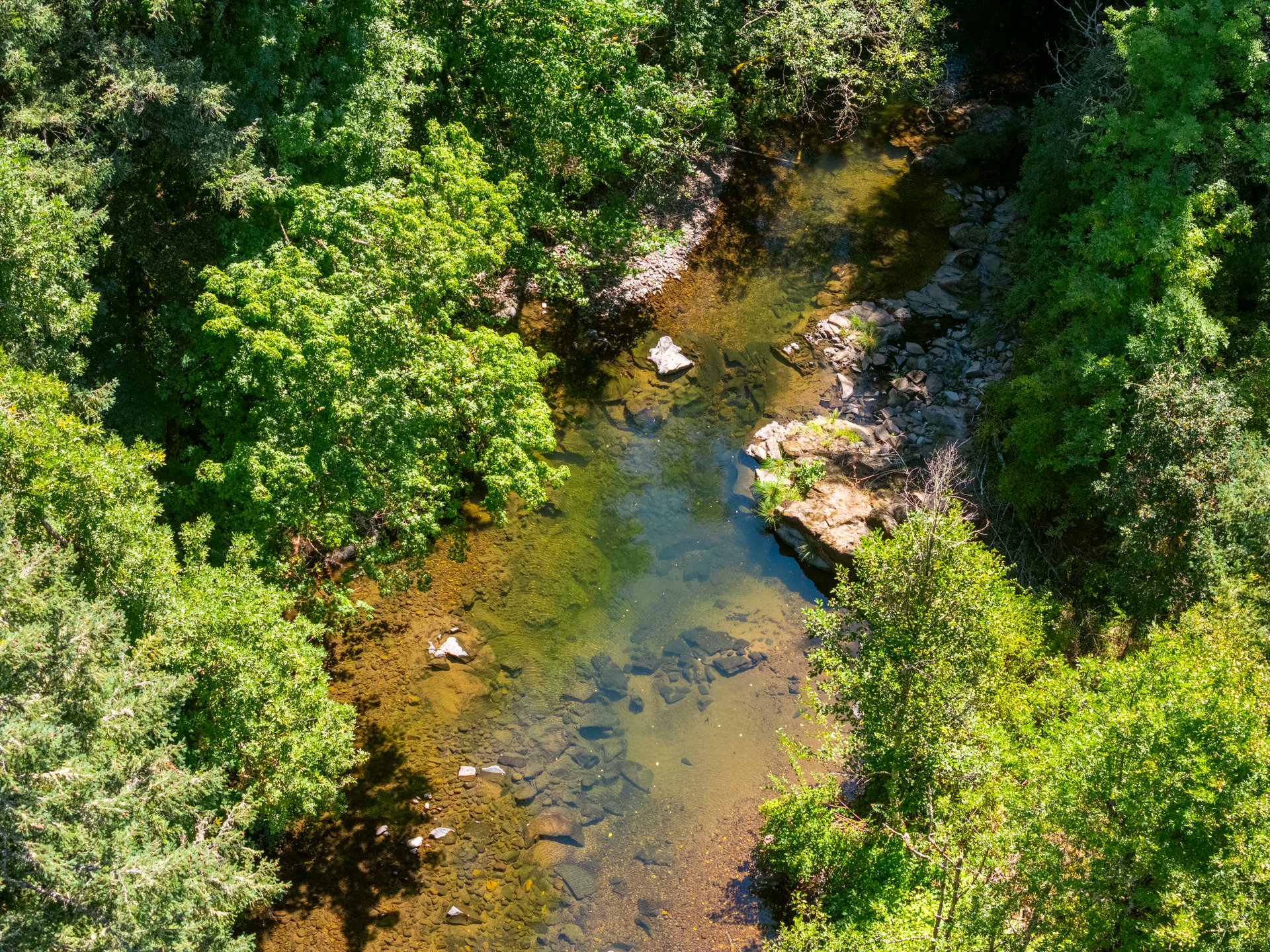 Coast Fork Woodland Meadows
