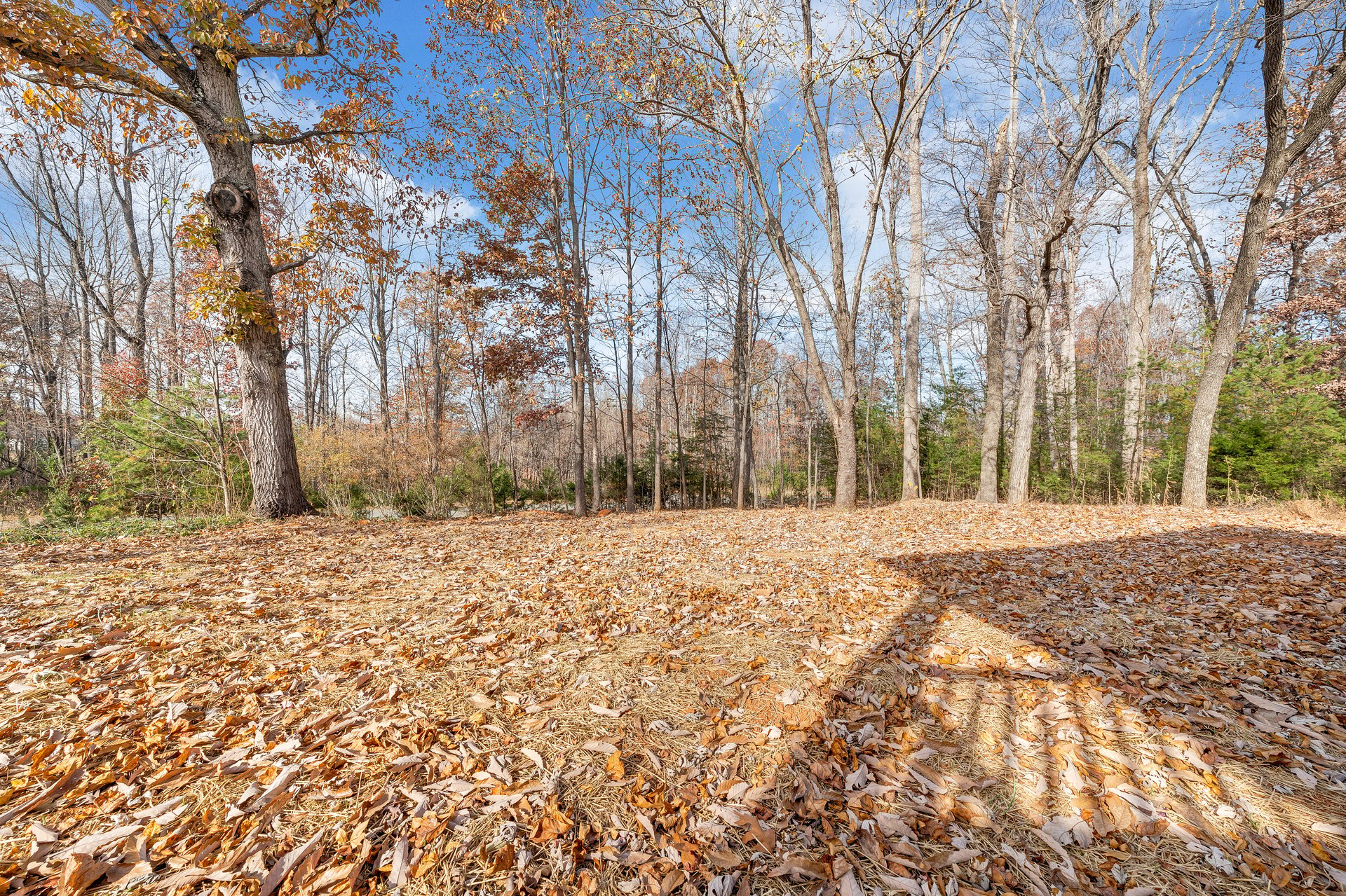 149 Windlass RD