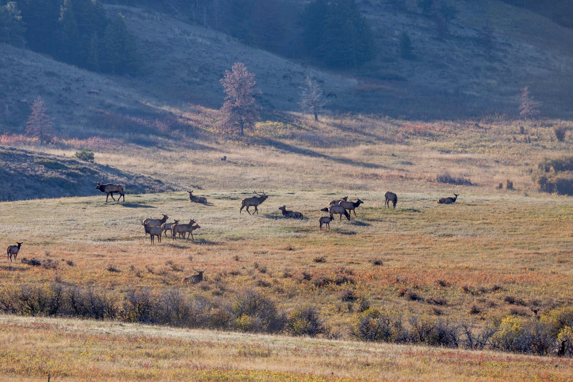 Box Elder Ranch