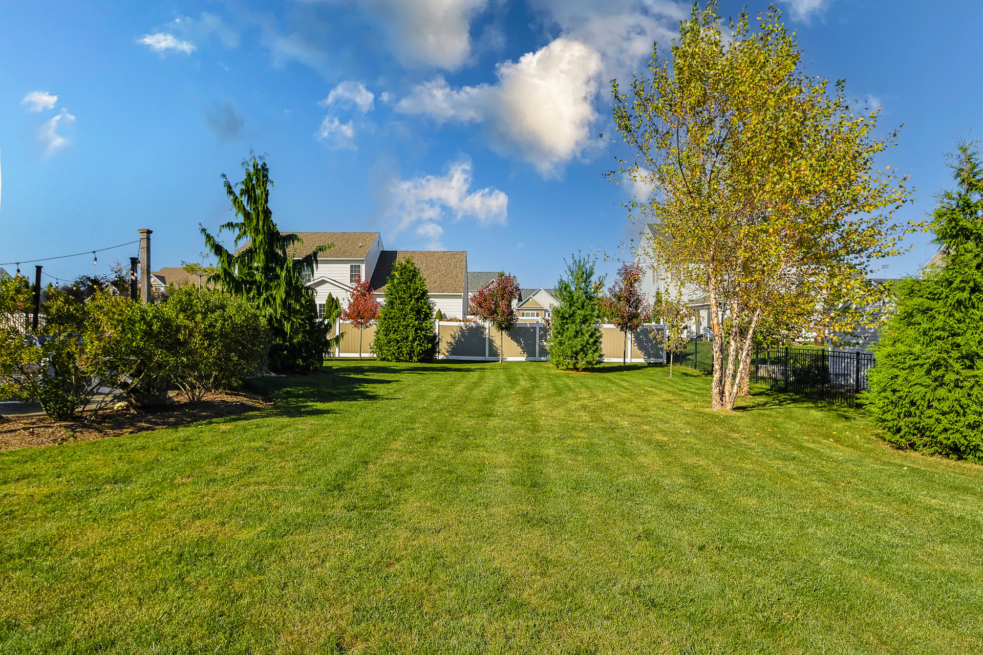 290 Palmetto Drive