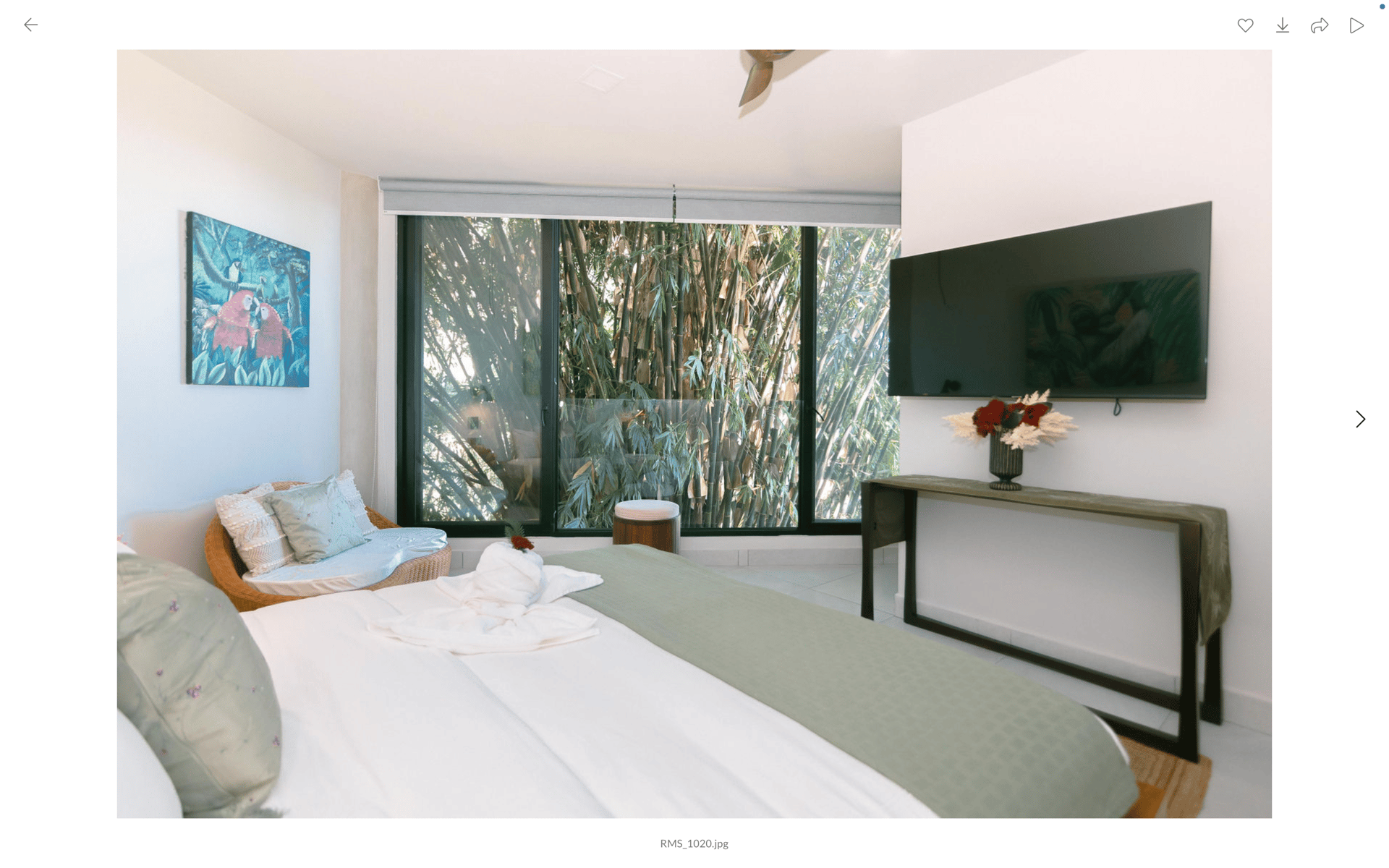 Villa Perezoso - 4 homes combined into 1 