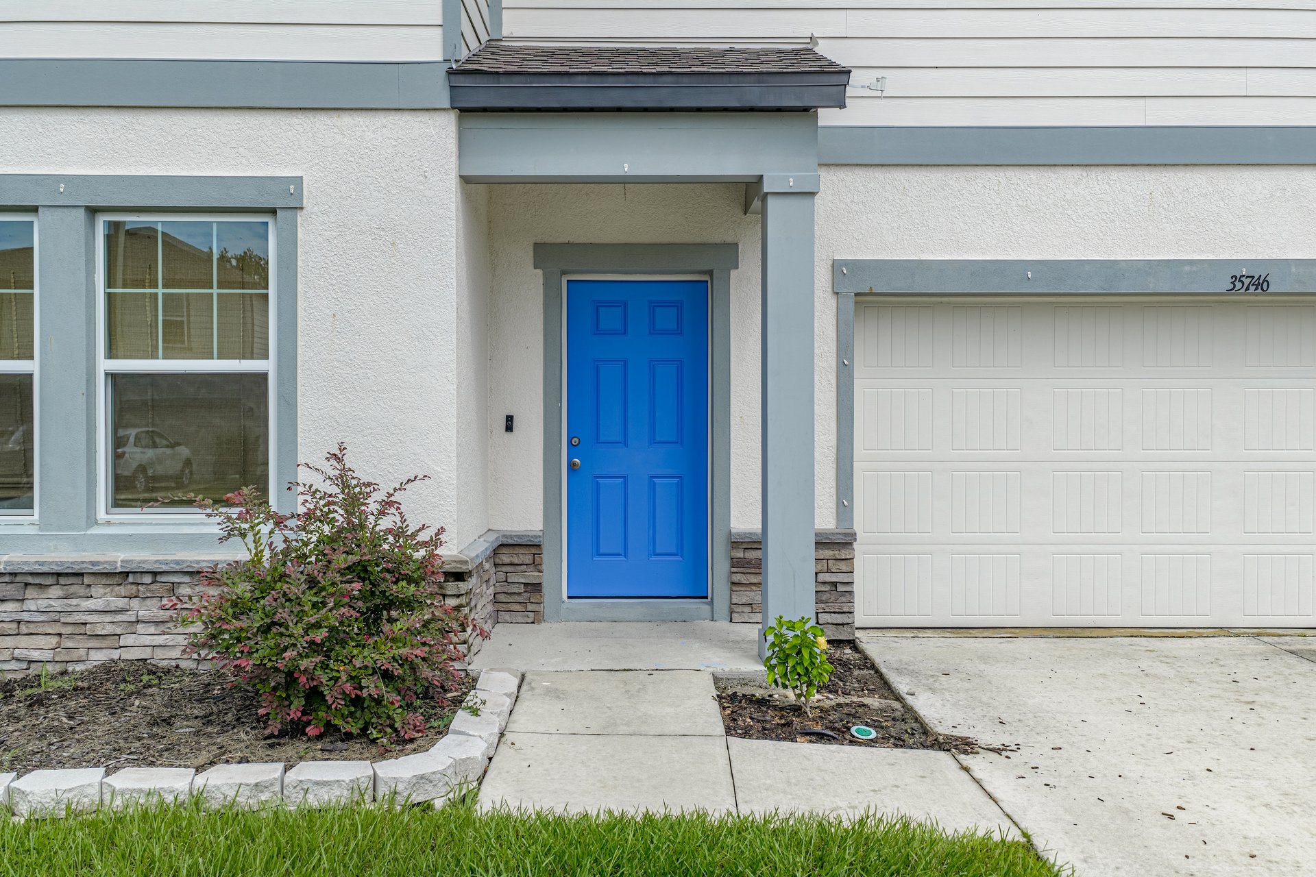35746 BUTTONWEED TRL