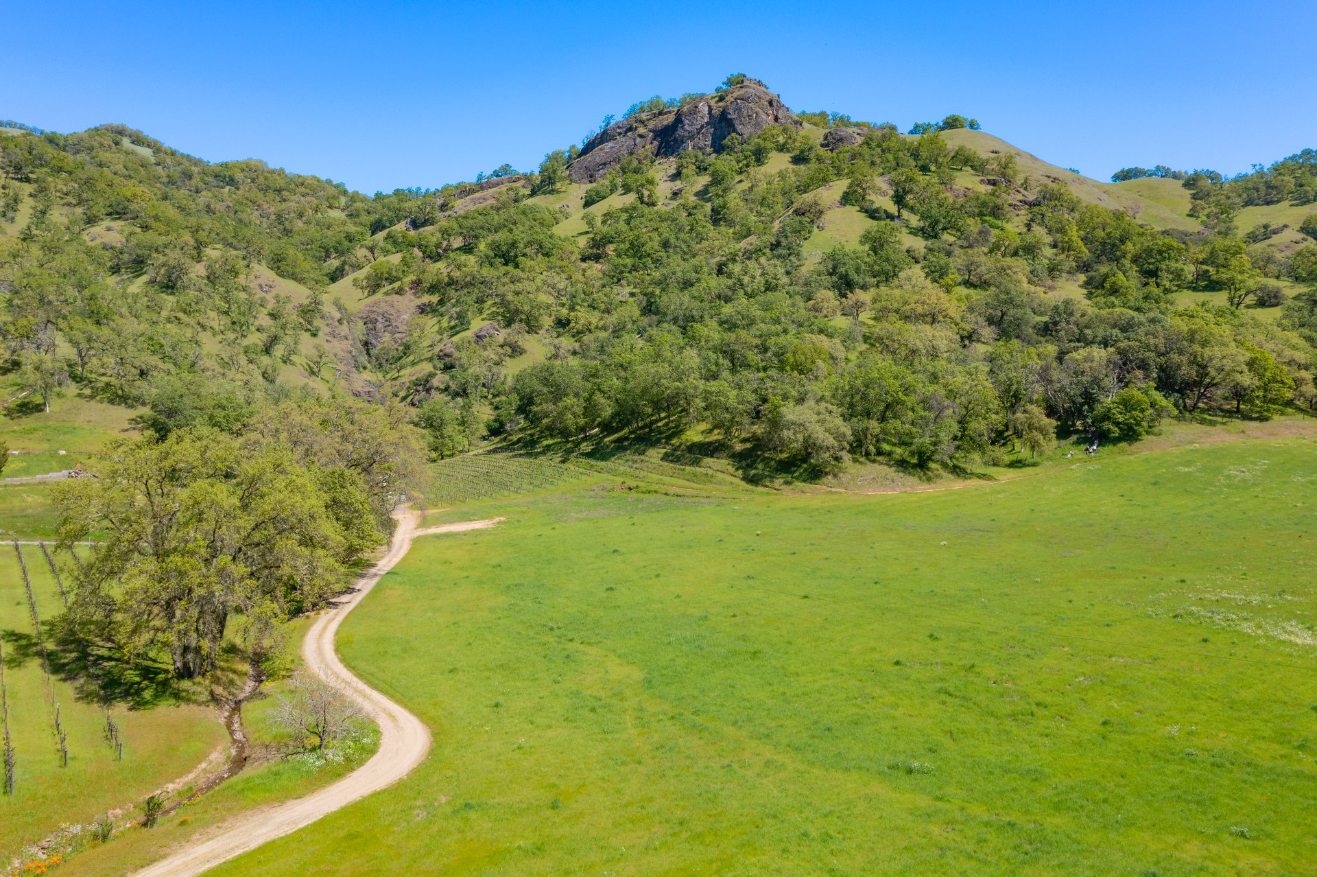Open Hand Ranch 