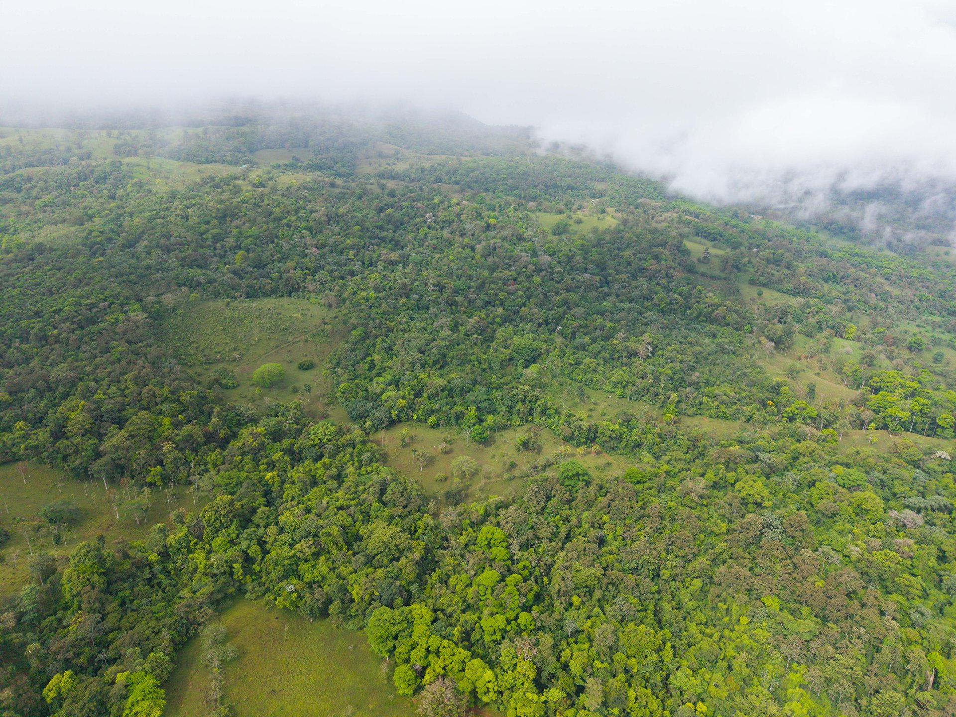 Finca Las Zompopas-Río Celeste | 113-Acre Biodiverse Property in Bijagua, Ideal for Eco-Tourism, Private Retreats, or Sustainable Development