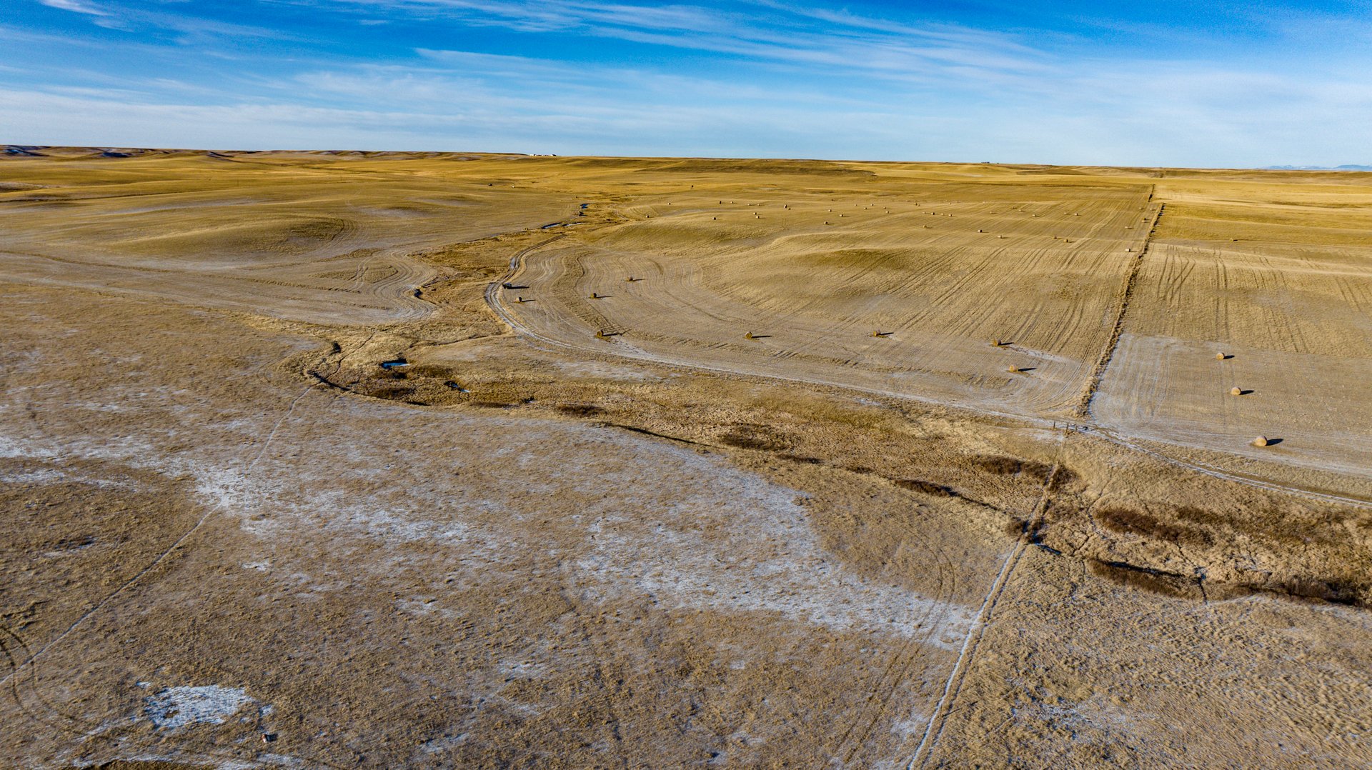 Blood Coulee Ranch