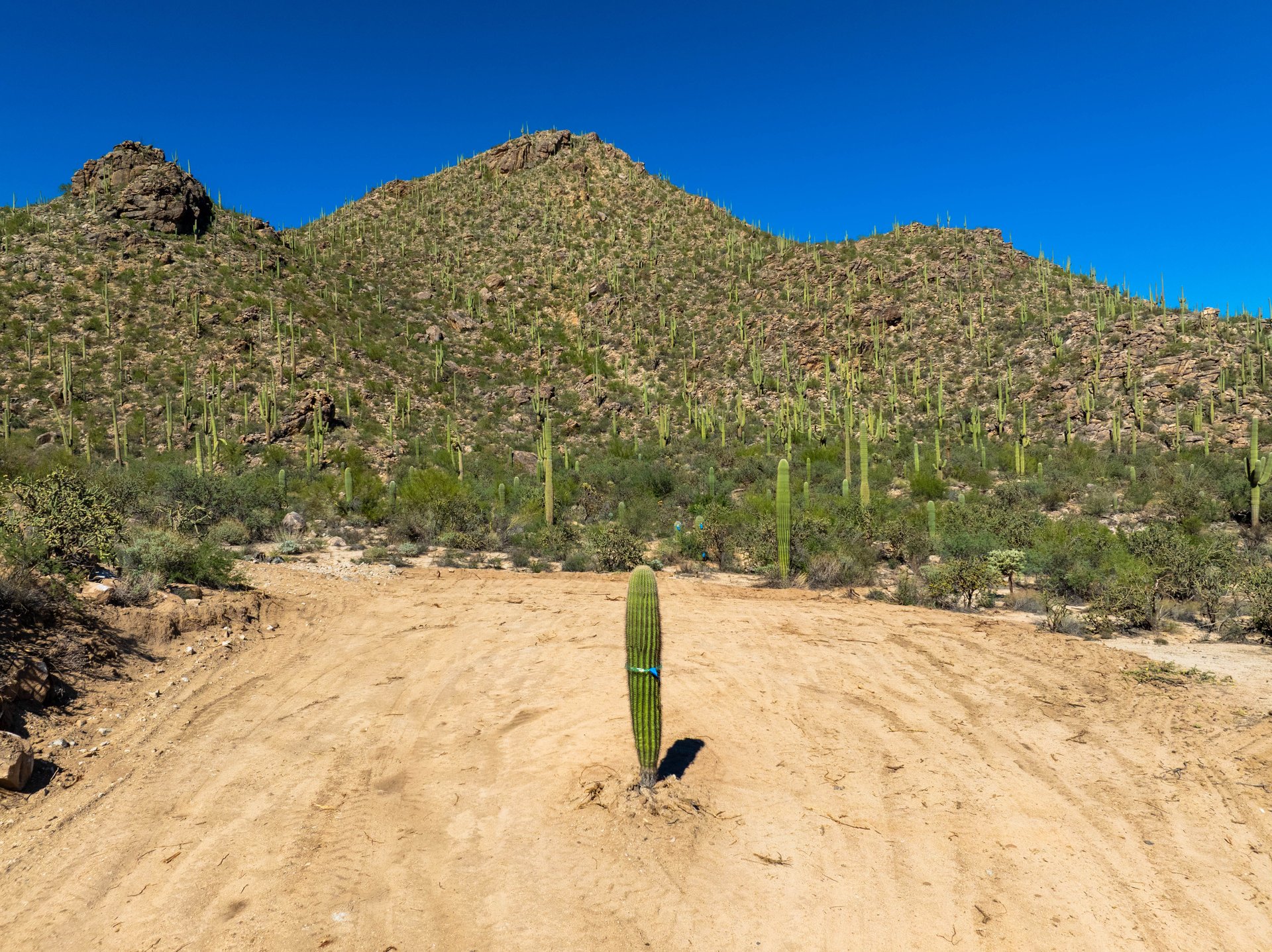 Hacienda - Lot #2 - 14474 N. Old Ranch House Road