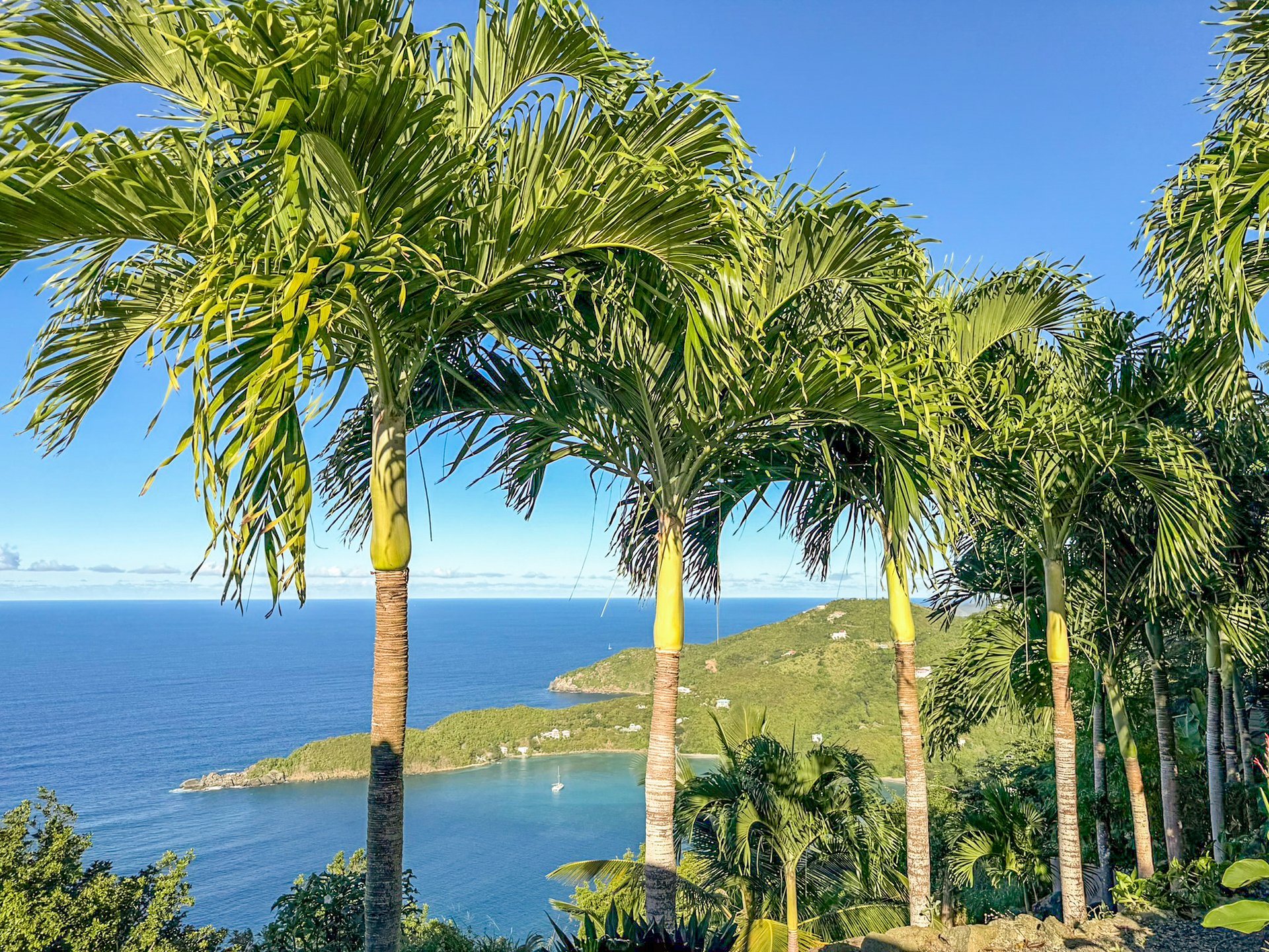 1105 Villa Botanica