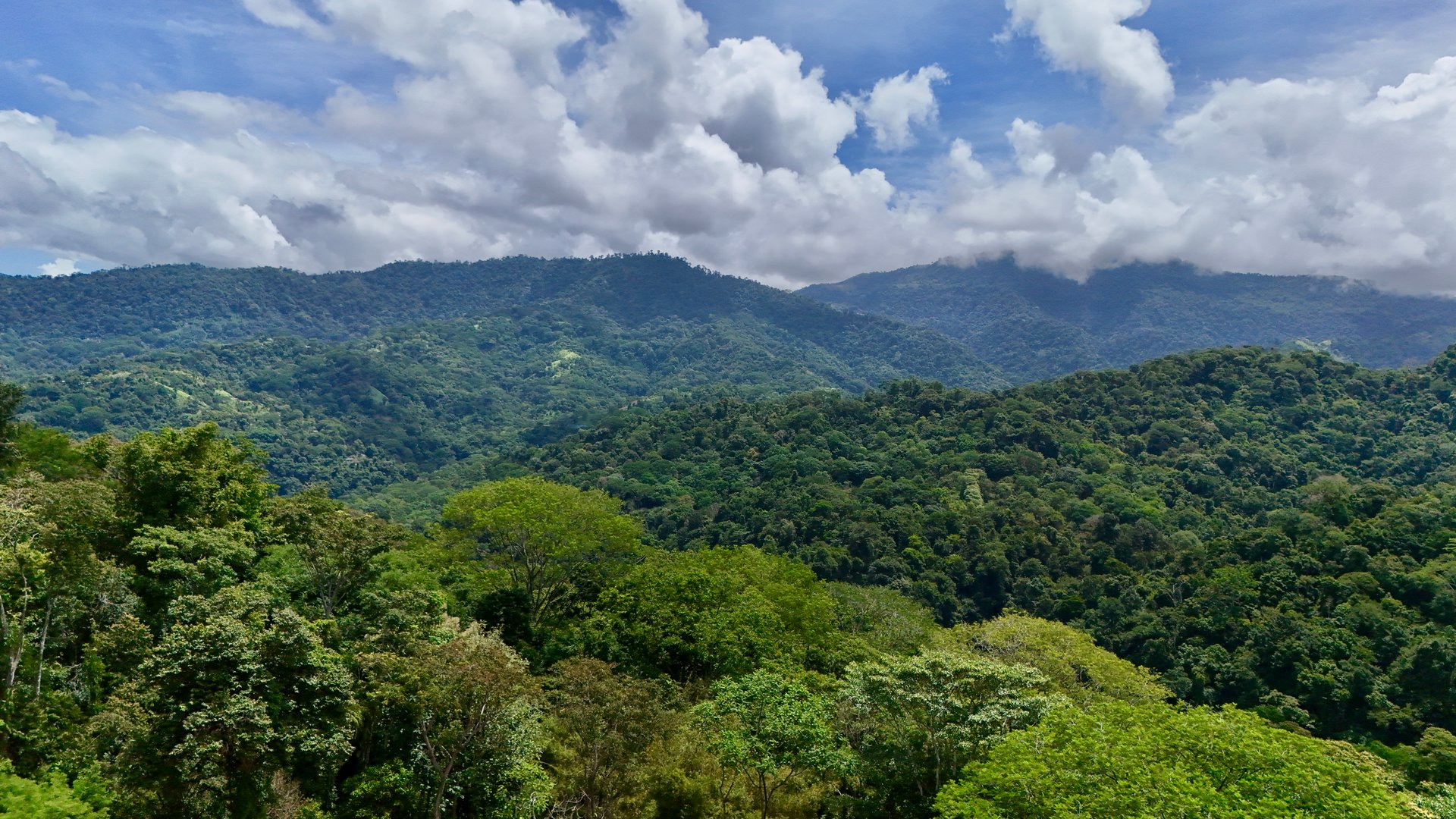 La Unión Road Investment Opportunity - 2.2 Acres with Existing Teak Cabin & River Access 