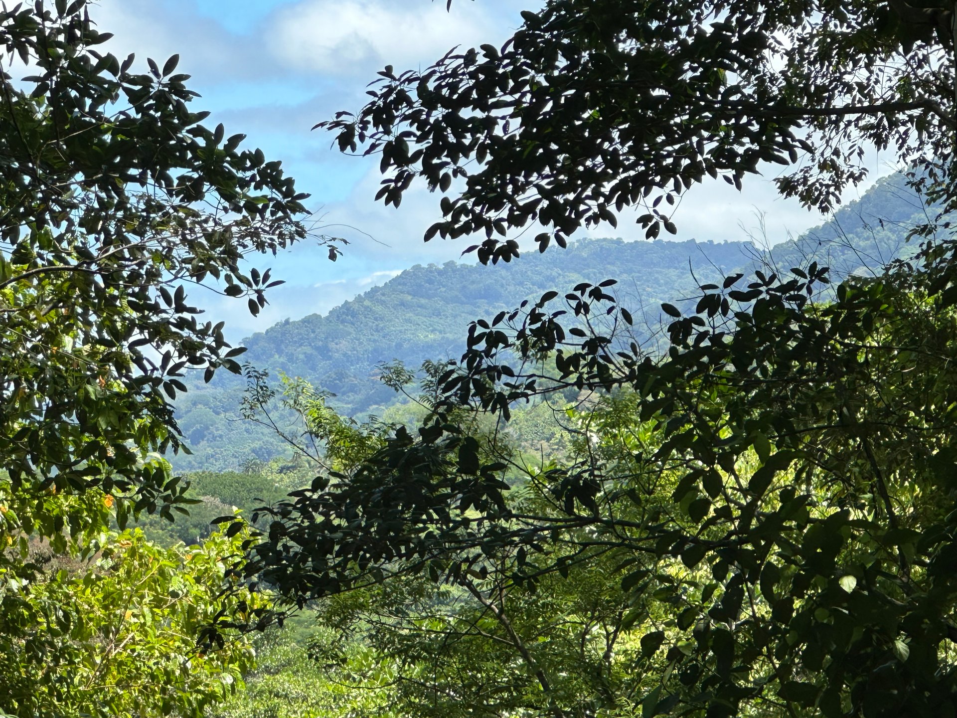Ocean View Lot in Paradise Breezes, Hatillo - Ready to build