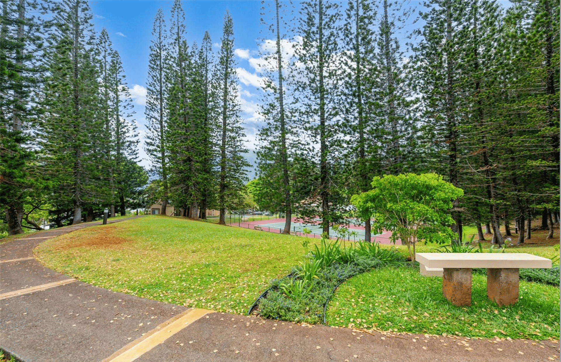 Puu Ali'i | Kāne'ohe 