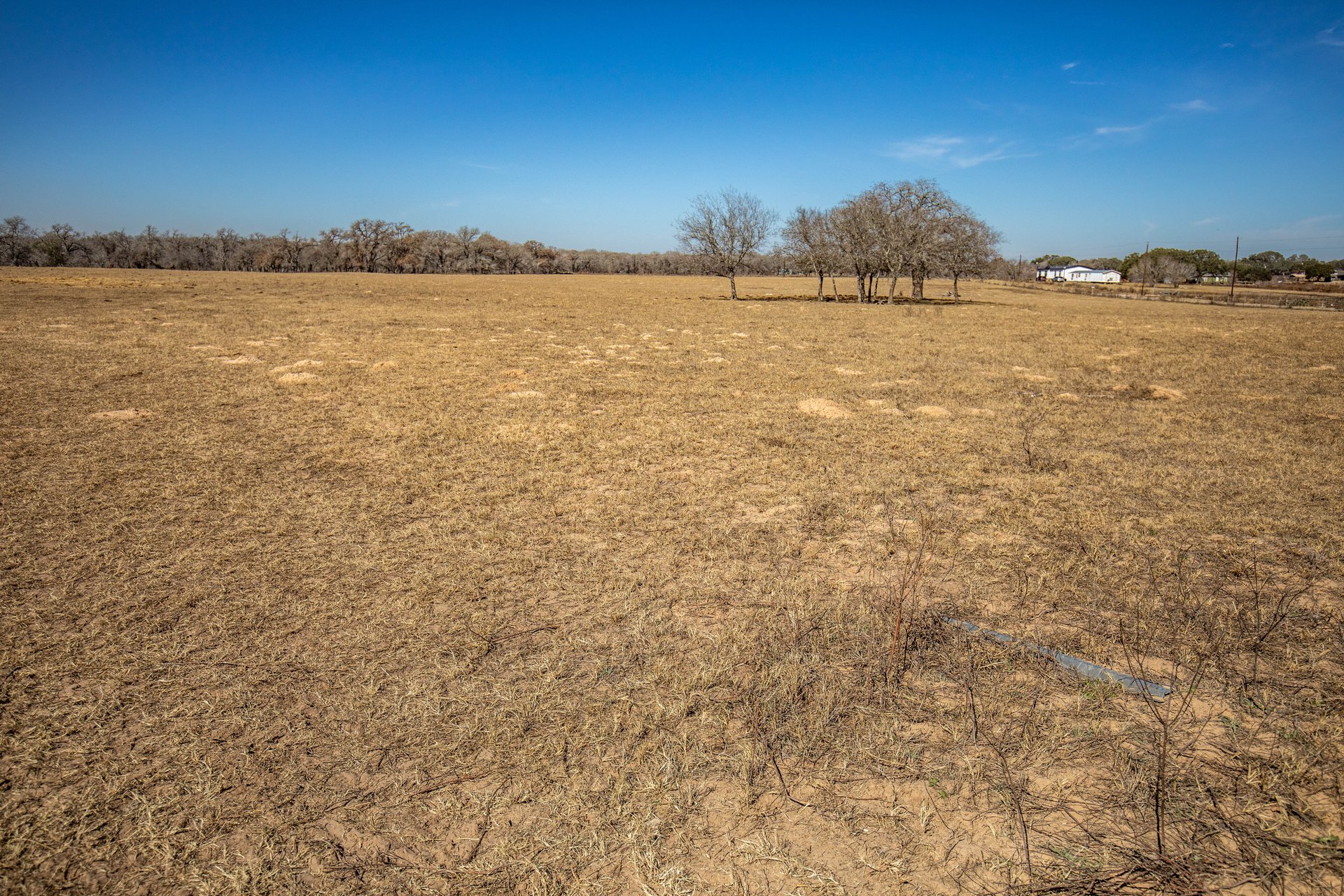 Whispering Pines Floresville Ranch | 298± Acres | Wilson County
