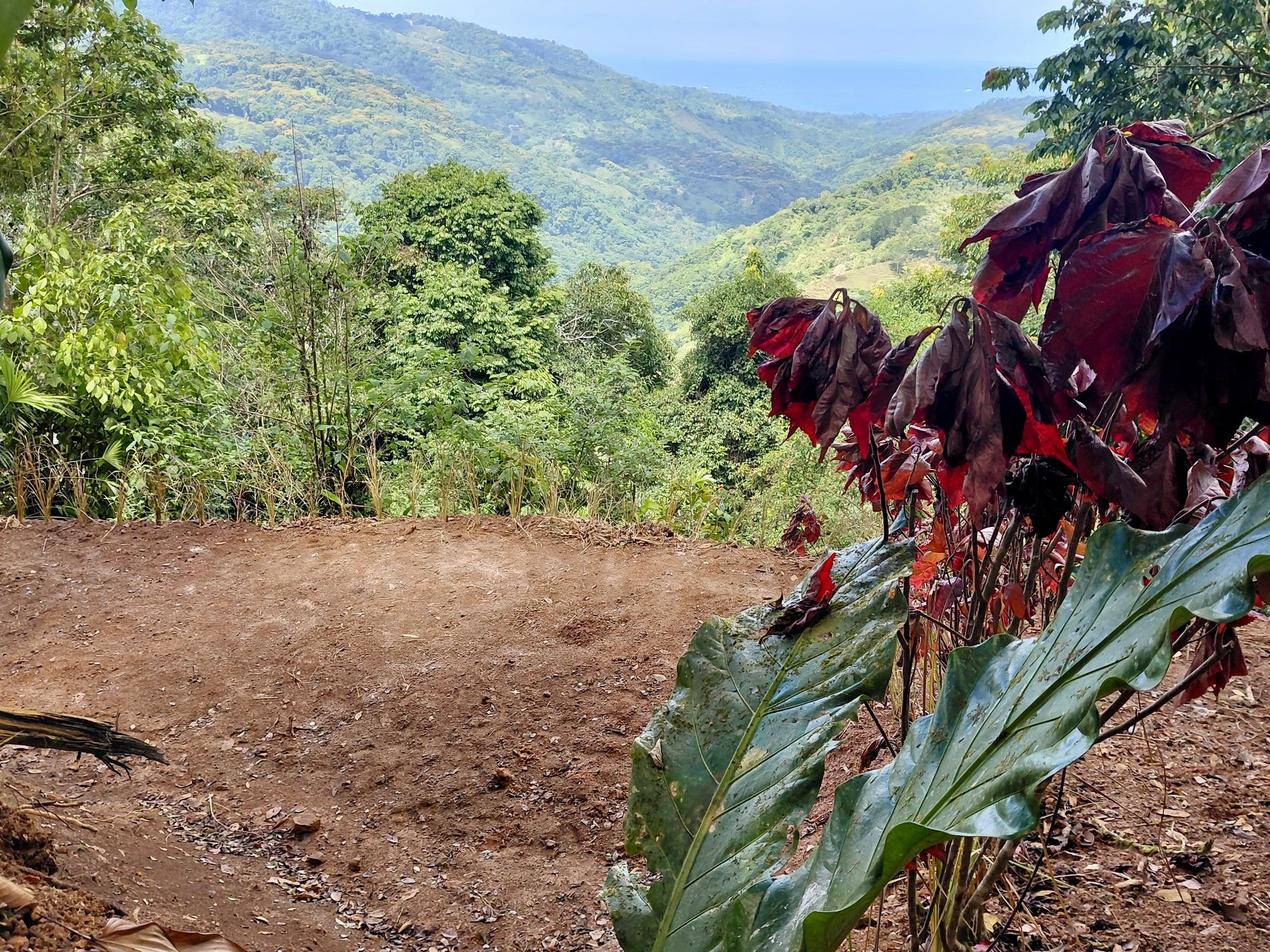 The Last of Its Kind Property in San Luis de Morete, Over 1.53 Acres