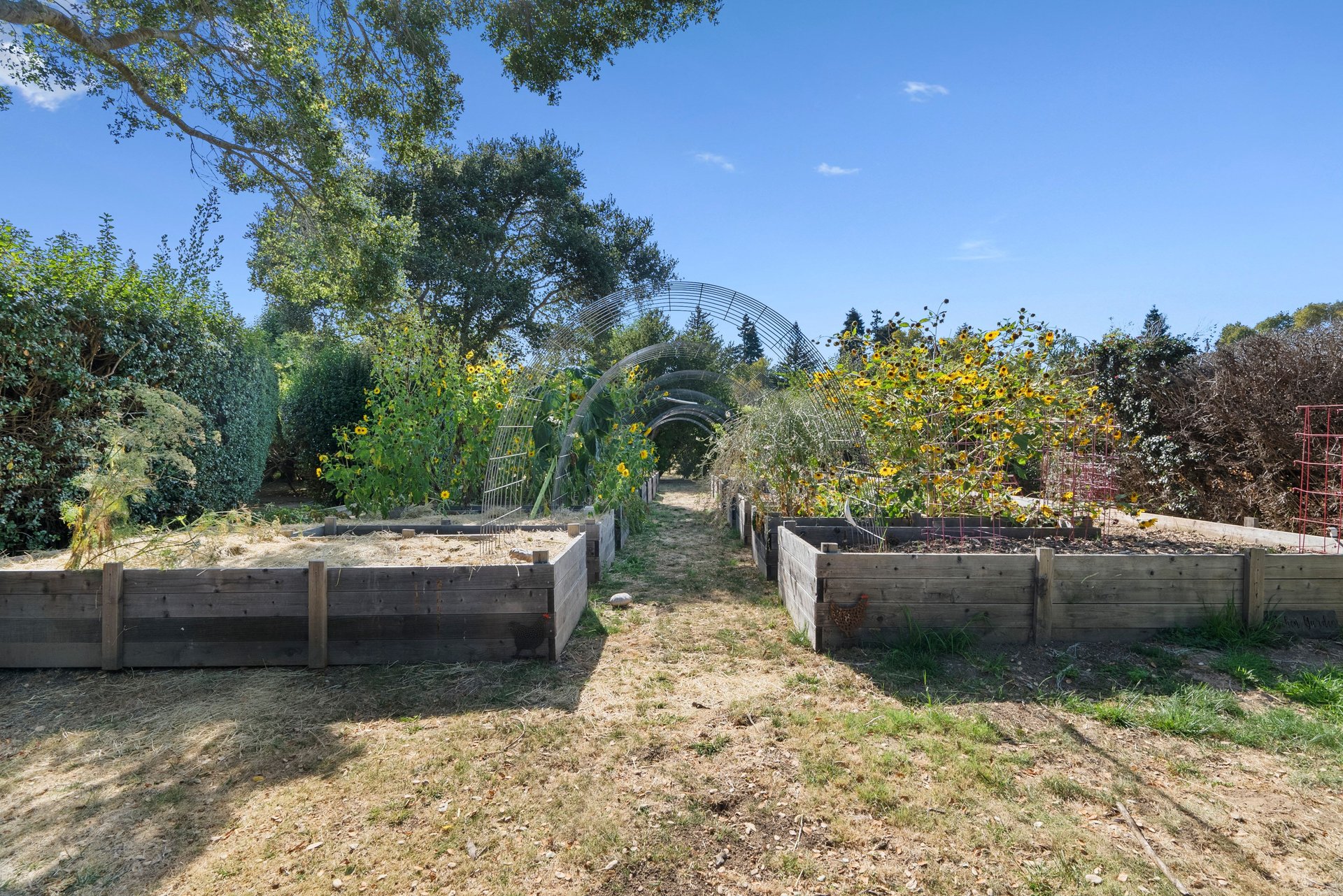3999 Cherryvale Avenue | Soquel, California