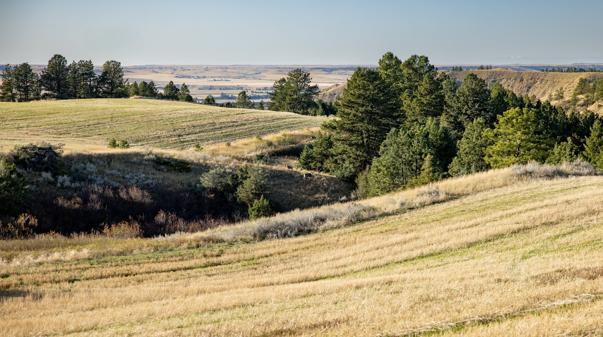 Salt Creek Ranch