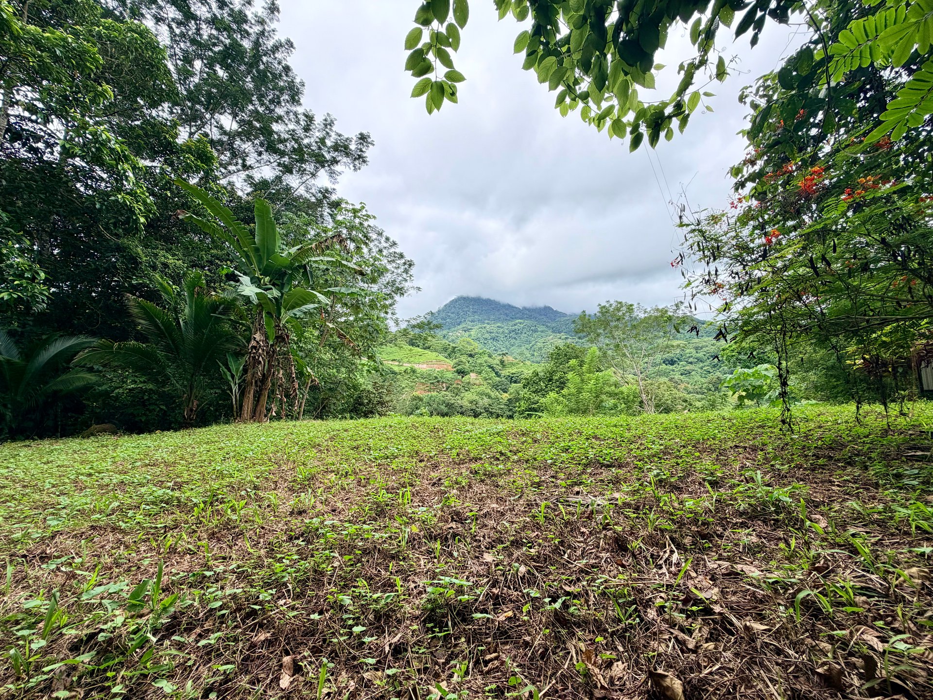 Tres Ríos Jungle Sanctuary | Ready-to-Build Lot Surrounded by Nature