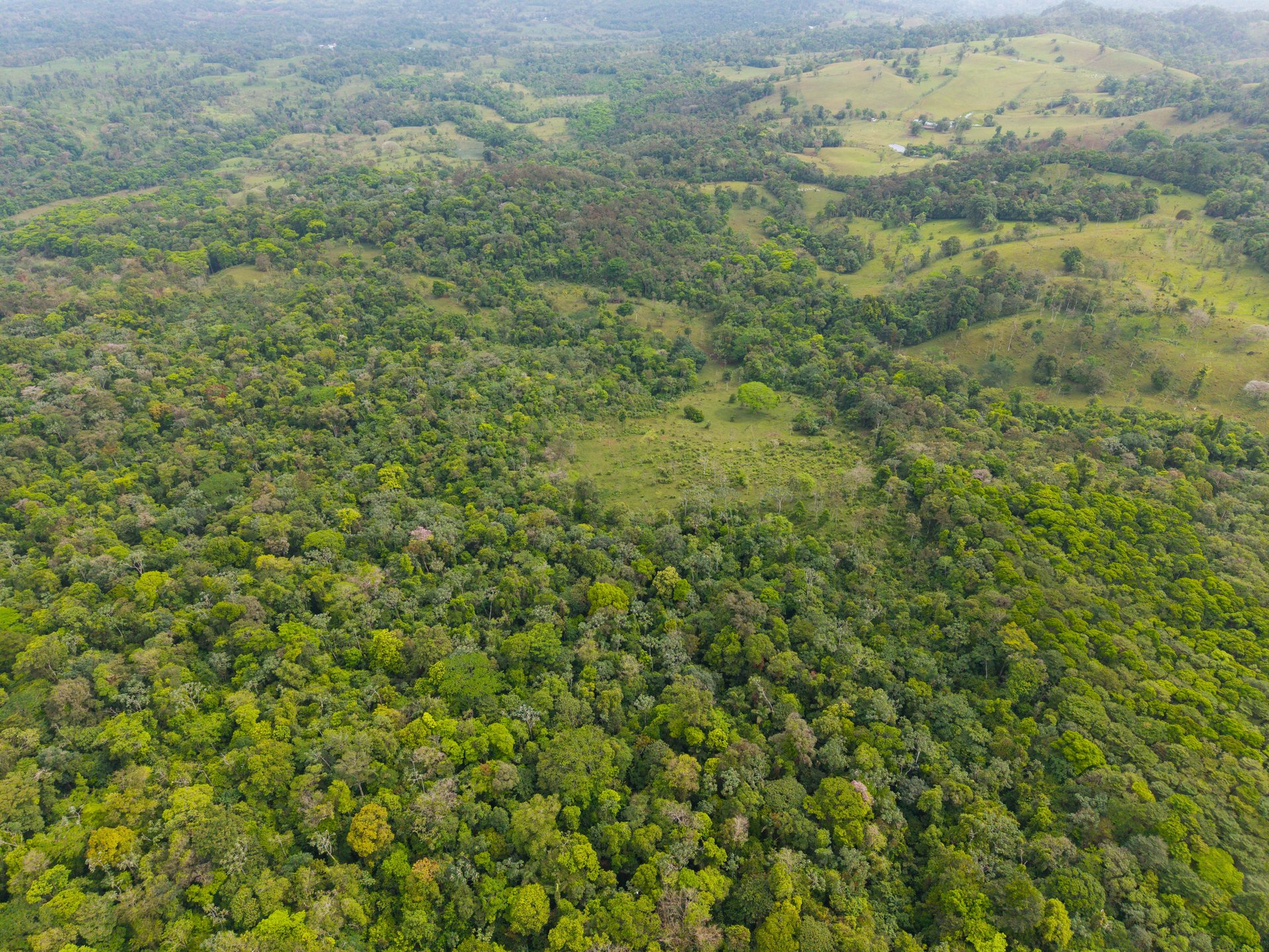 Finca Las Zompopas-Río Celeste | 113-Acre Biodiverse Property in Bijagua, Ideal for Eco-Tourism, Private Retreats, or Sustainable Development