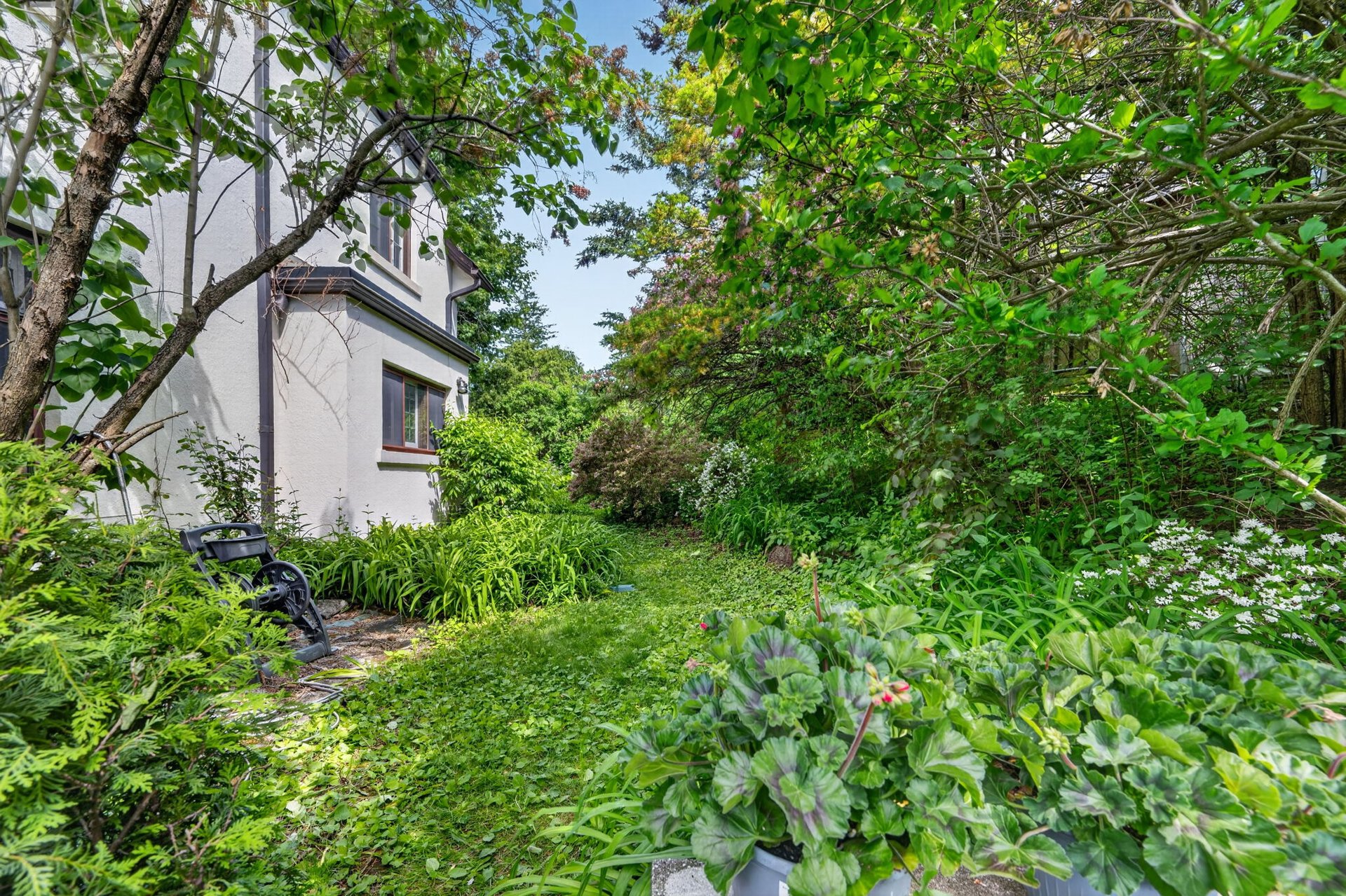 Lawrence Park Tudor Estate