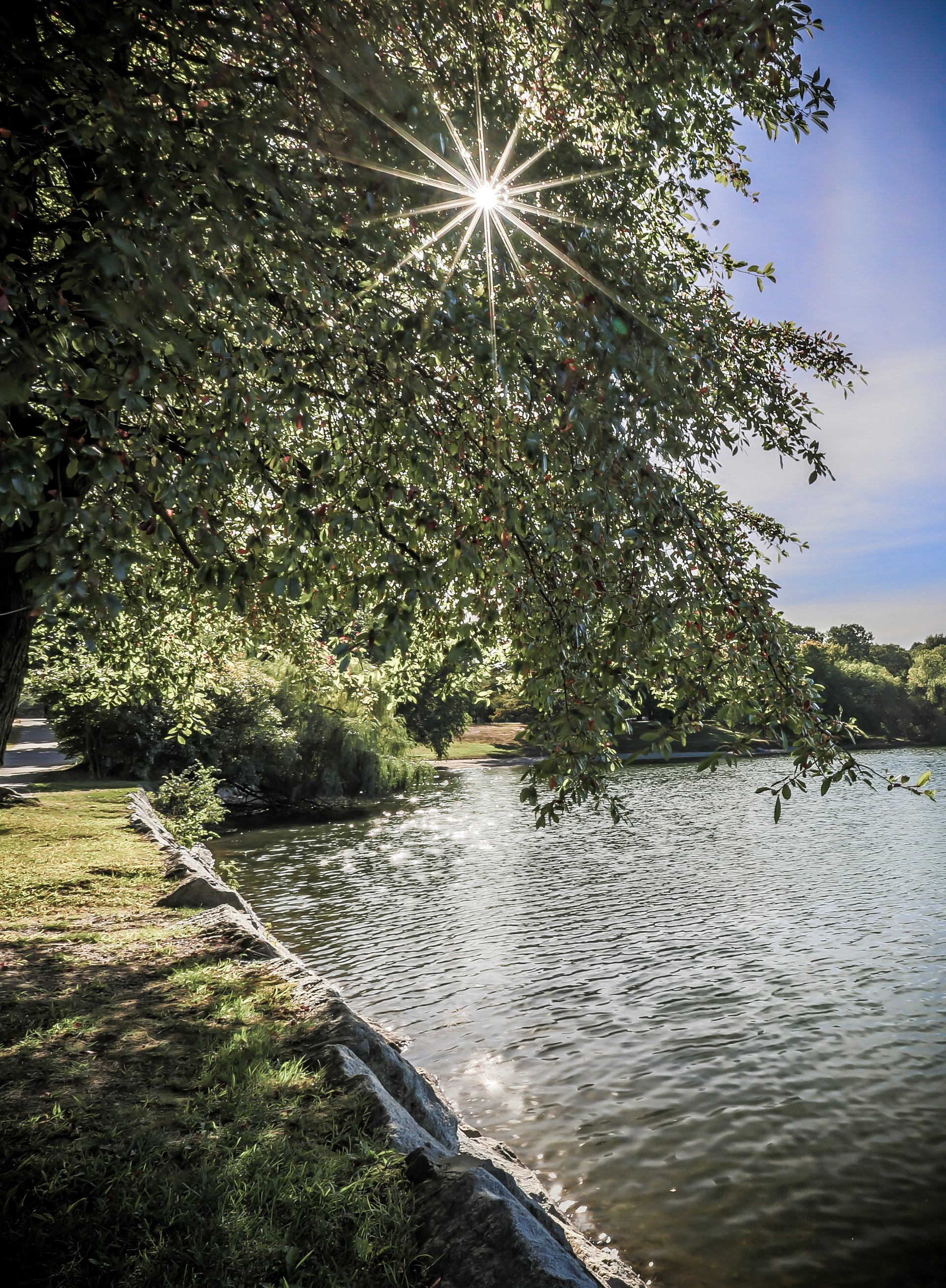 The Boston Home Team