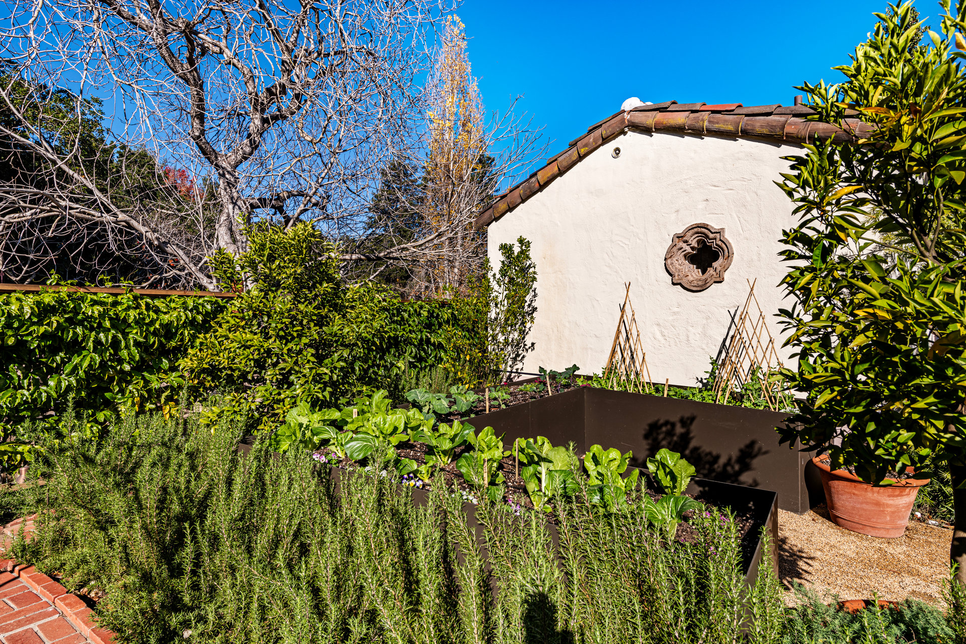 For Rent | Palo Alto Casita