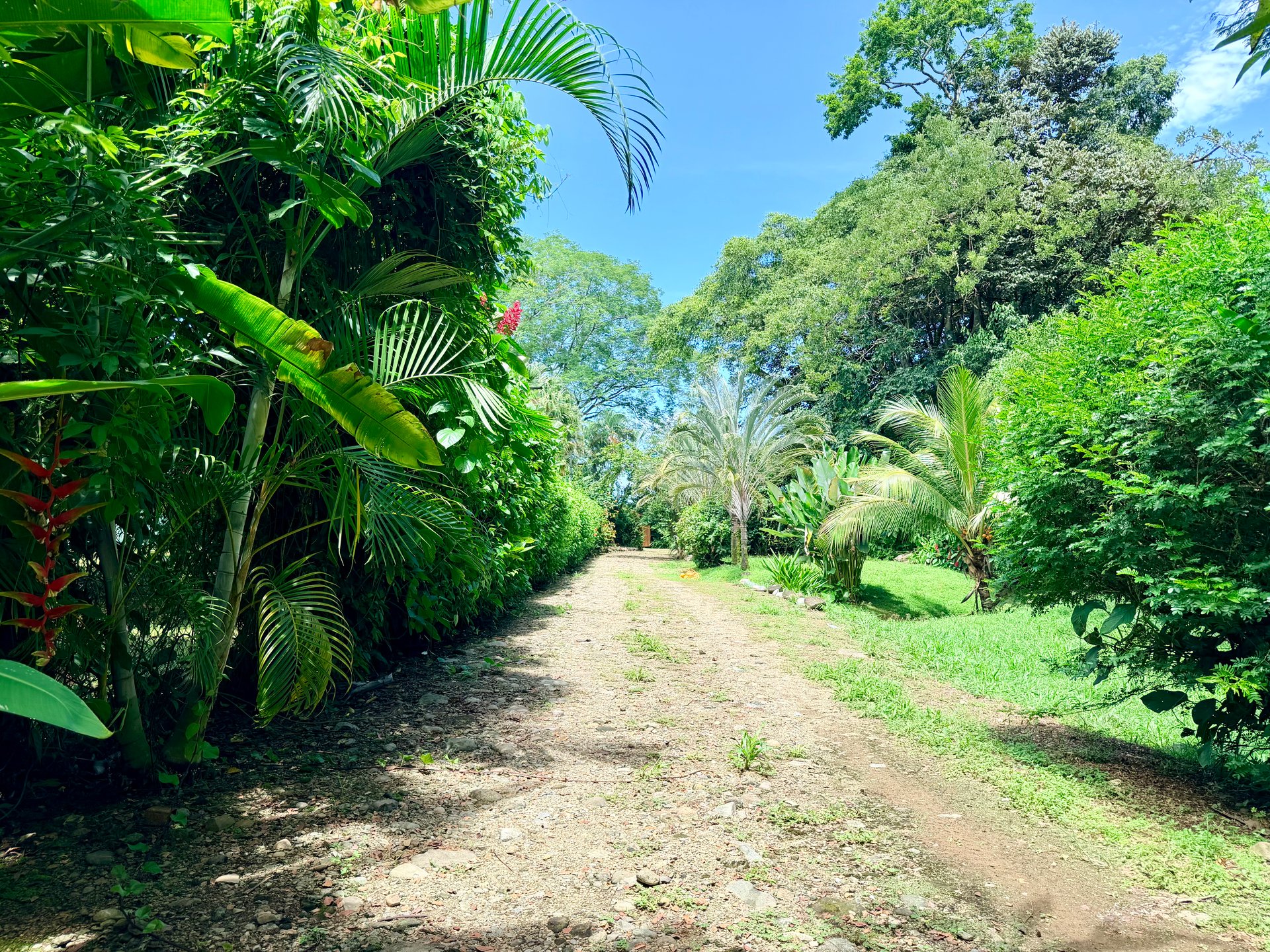 Riverside Cabin in Uvita | 0.98-Acre Estate with Room to Expand