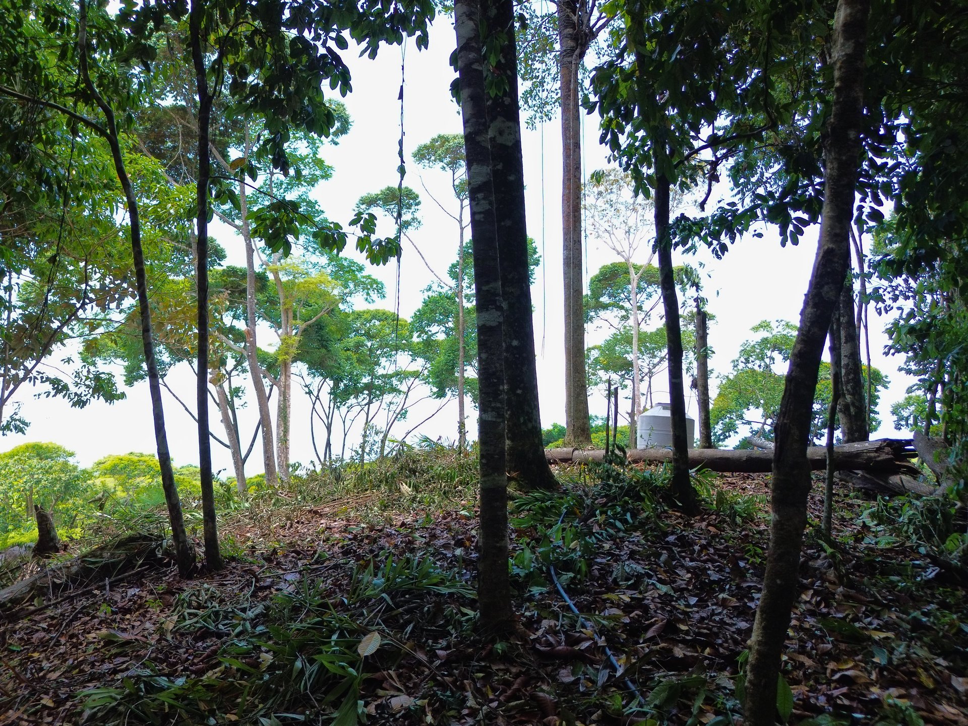 Ocean View Land for Sale in Uvita San Josecito with Whale Tail Views and Gated
