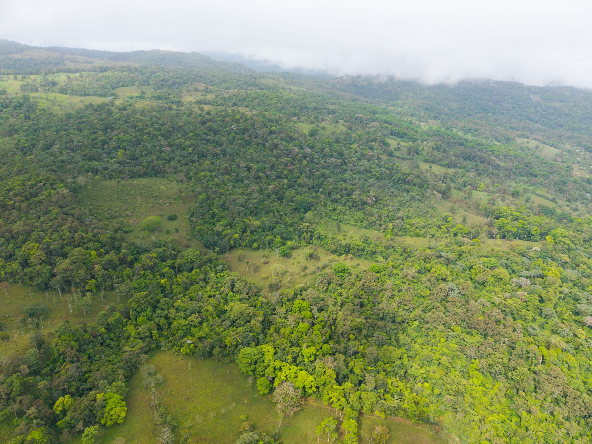 Finca Las Zompopas-Río Celeste | 113-Acre Biodiverse Property in Bijagua, Ideal for Eco-Tourism, Private Retreats, or Sustainable Development