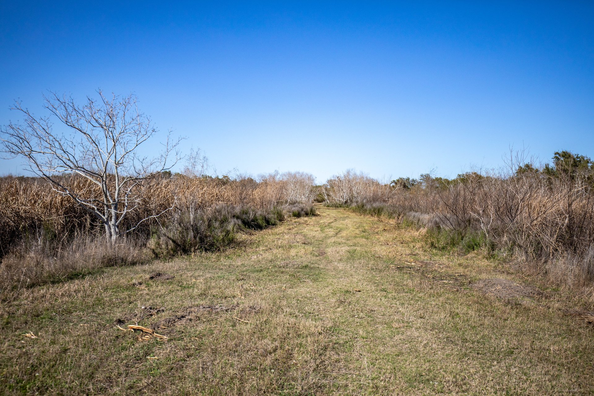 Lamar Peninsula Development Tract |  51.81± Acres | Aransas County
