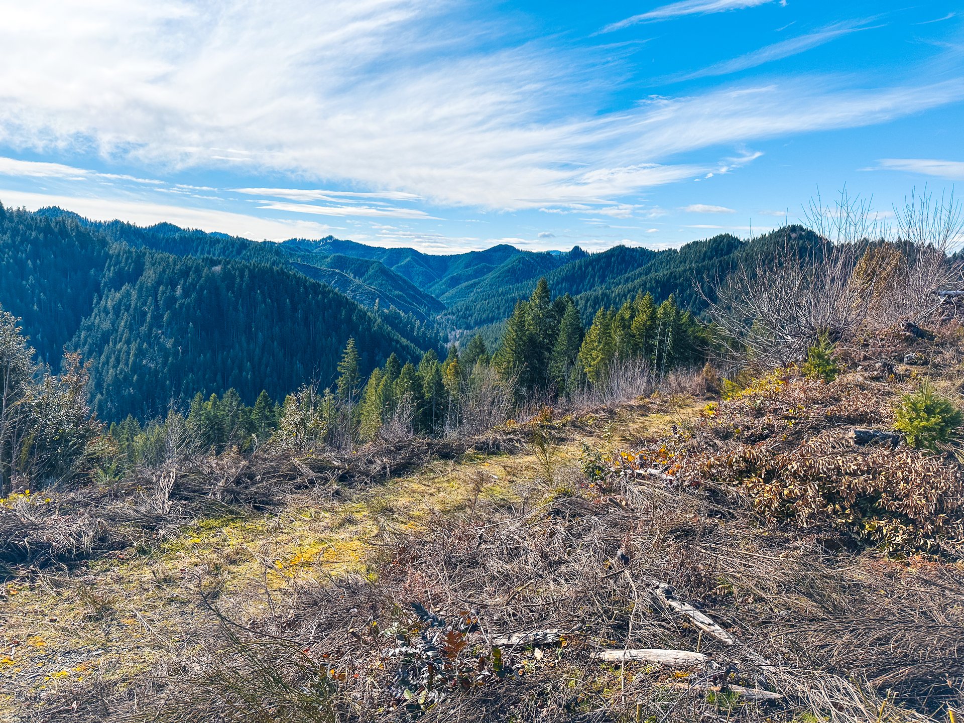 Smith River Back Woods