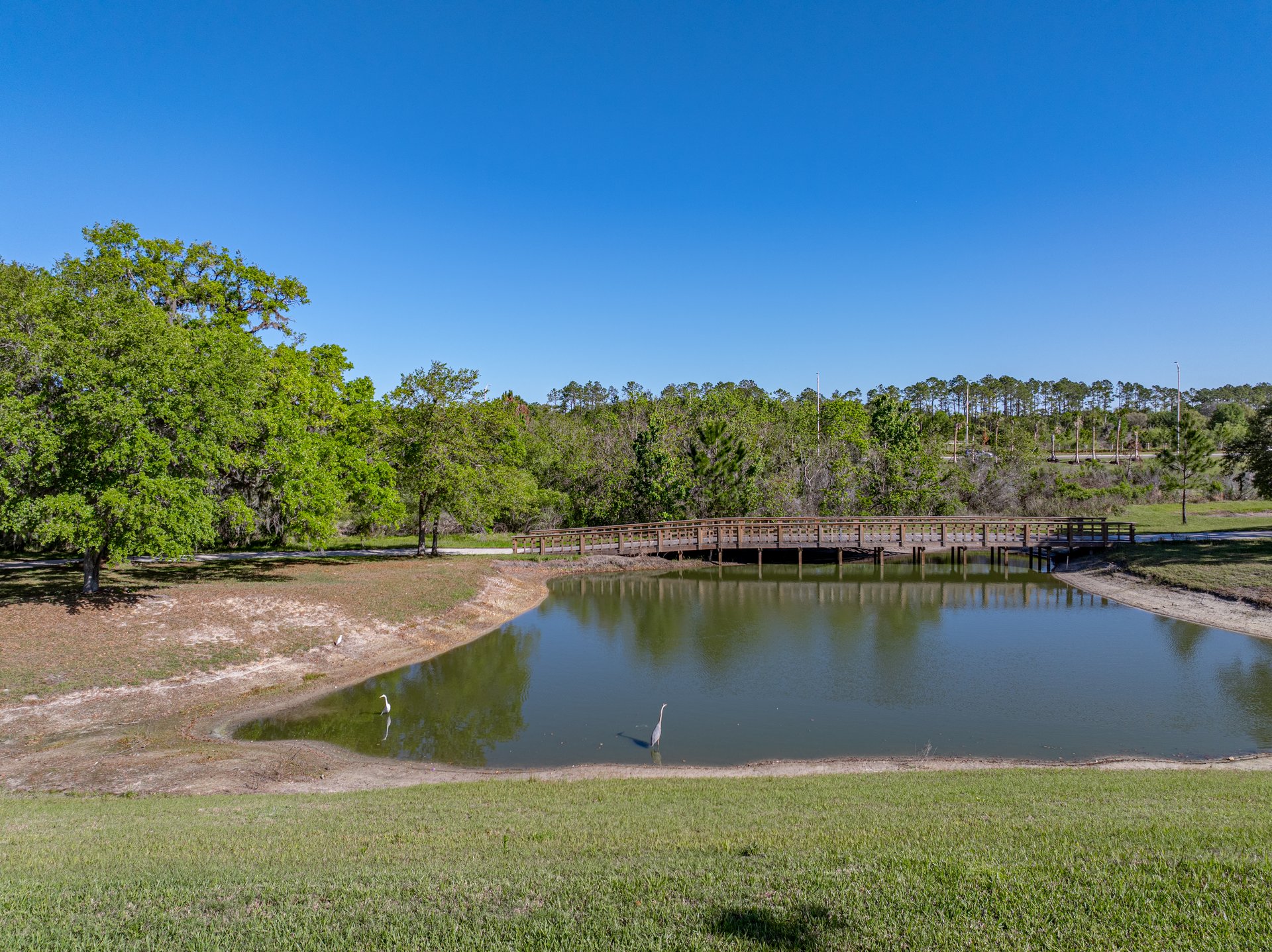 11465 JUNE BRIAR LOOP