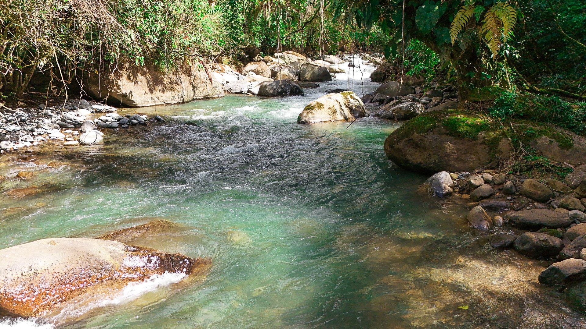 Costa Rica Mountain Retreat – 1.8 ha with Luxury Cabin, Private Lake & Riverfront