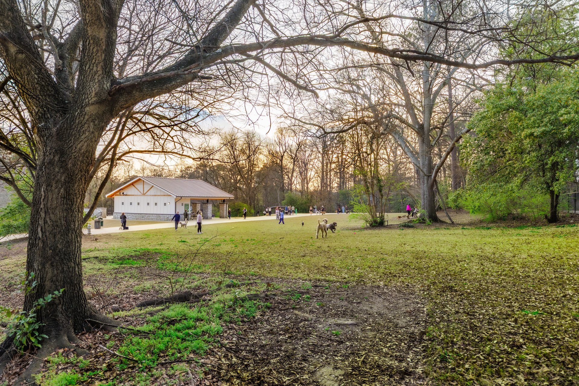 1384 Doublegate Drive