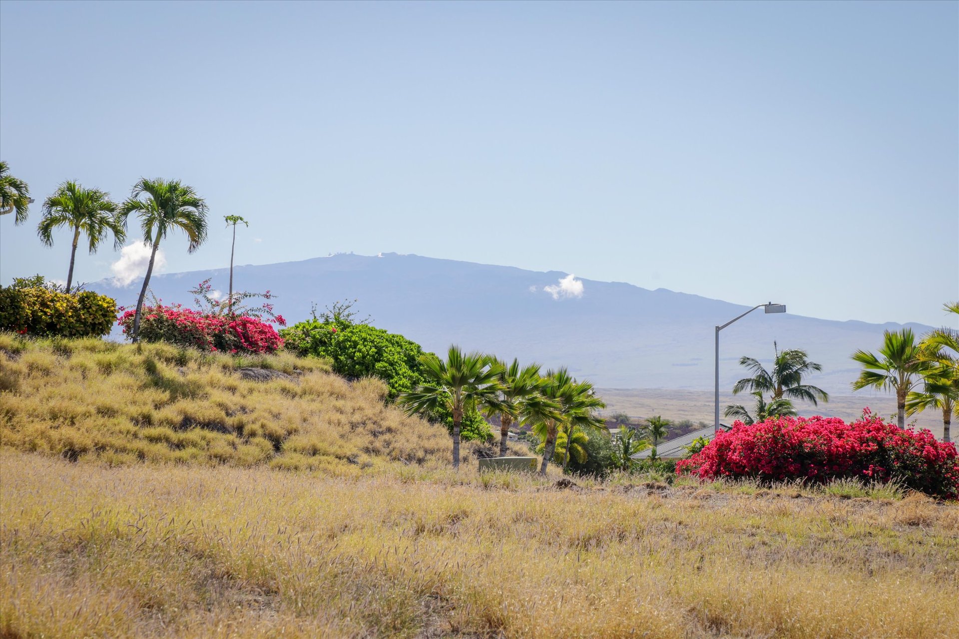 Kohala By The Sea Vacant Land