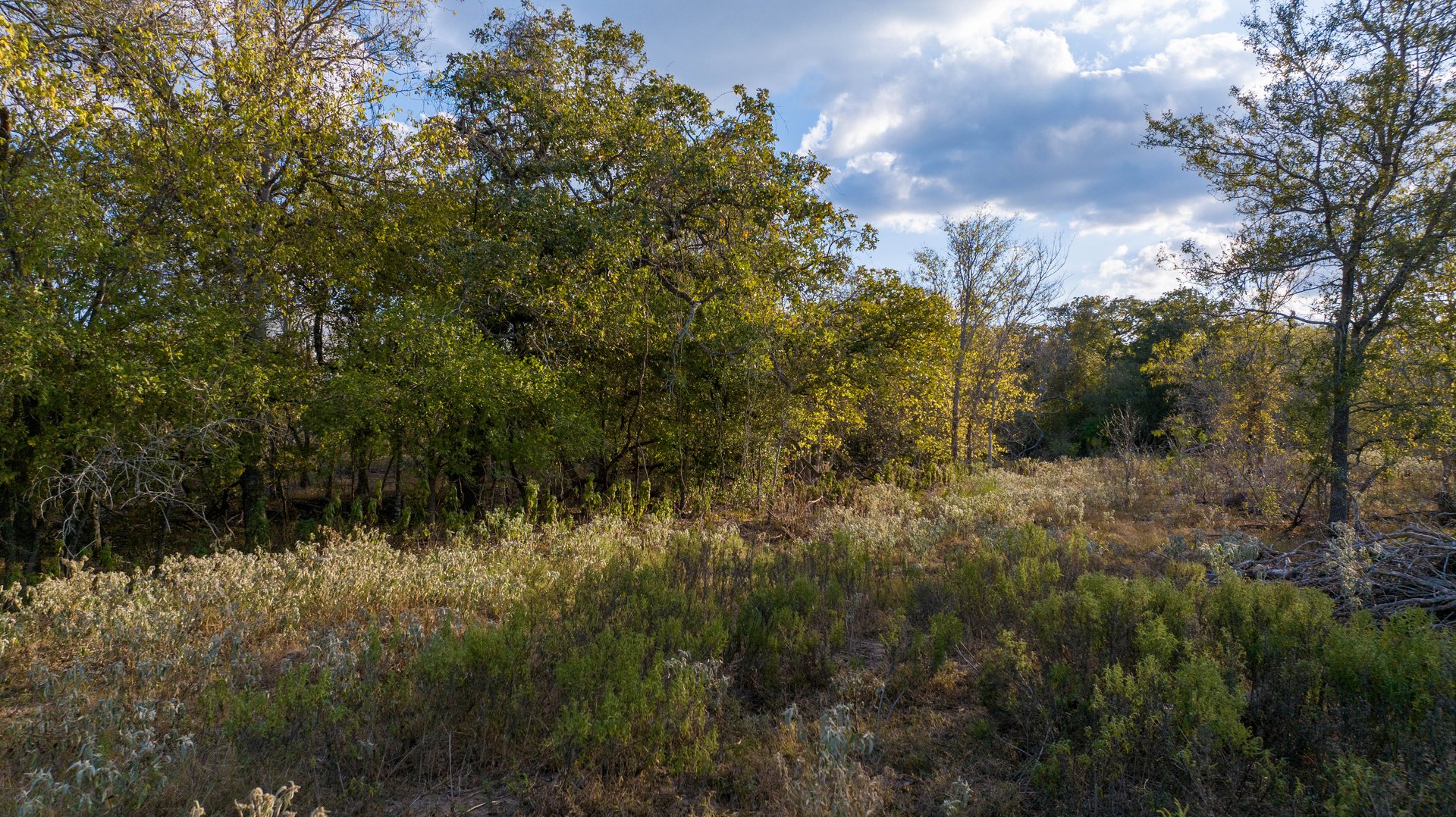 Gonzales County | 104+/- Acres