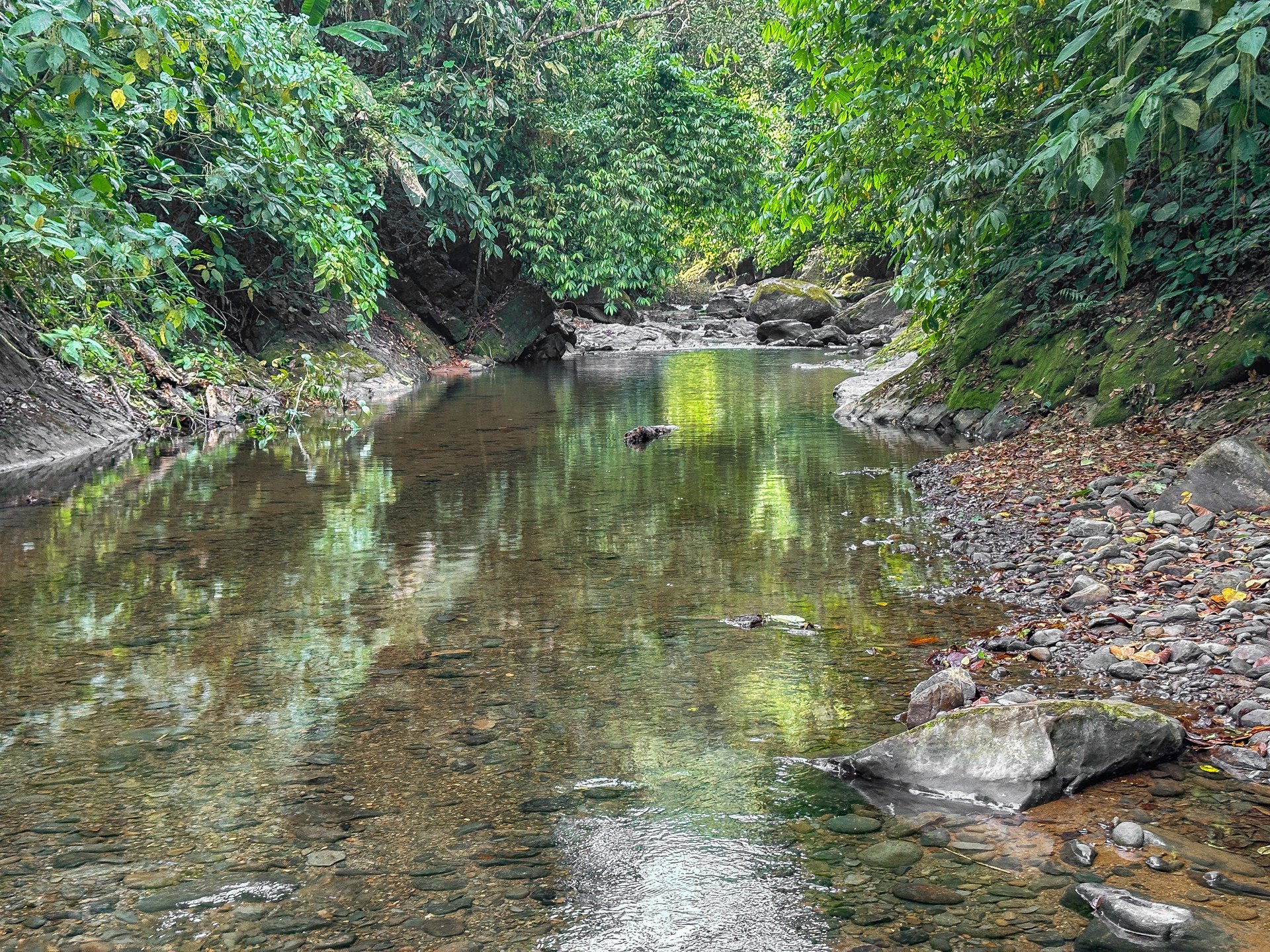 River & Waterfall Property With a BRAND-NEW Jungle-View Luxury Home on a Massive 4.32 Acre Lot – PLUS an Additional Plantel ready for Development
