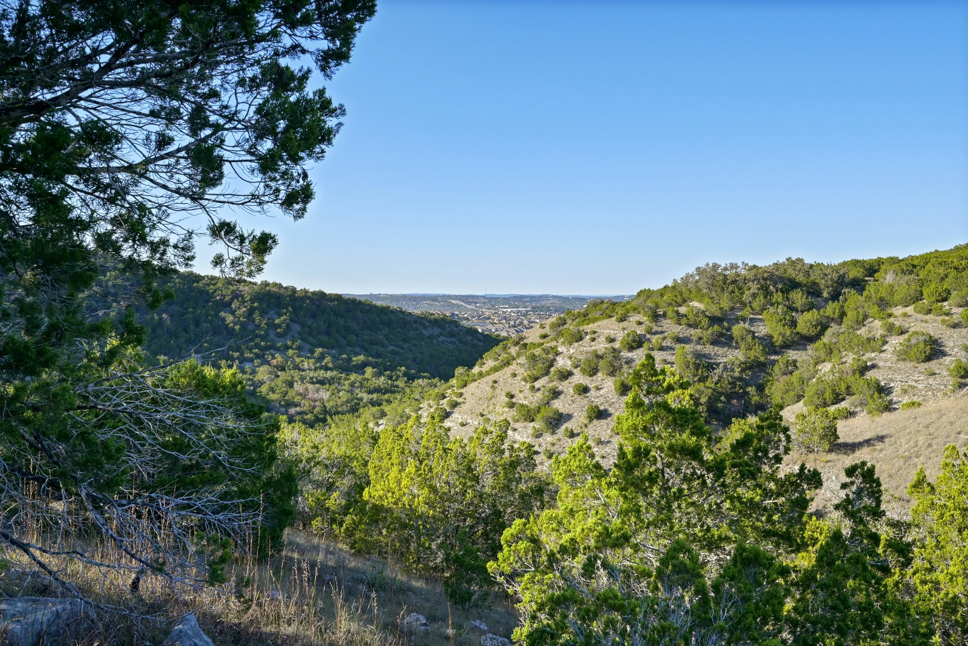 Madrone Canyon Lot 30A 