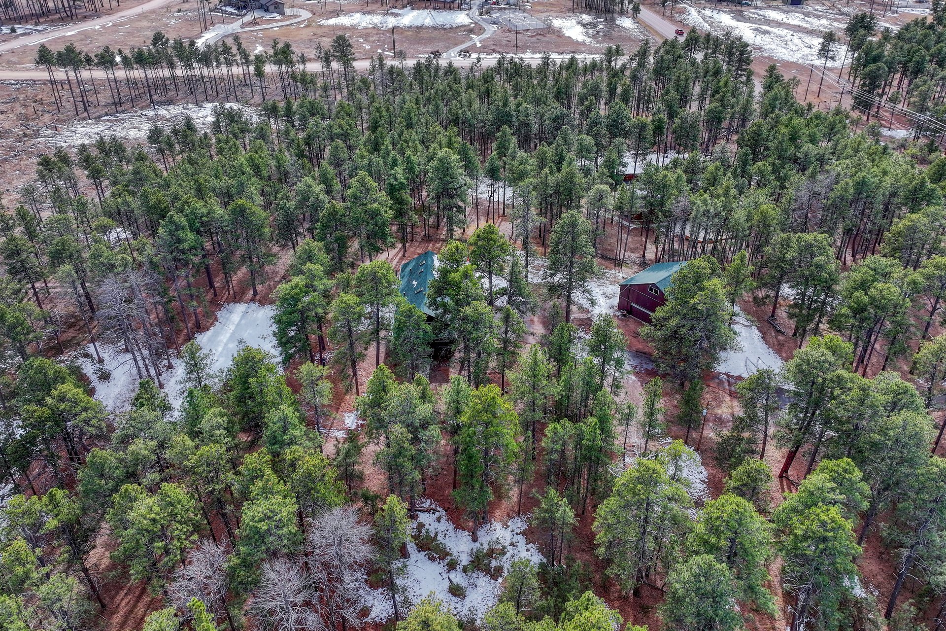 14425 Black Forest Road
