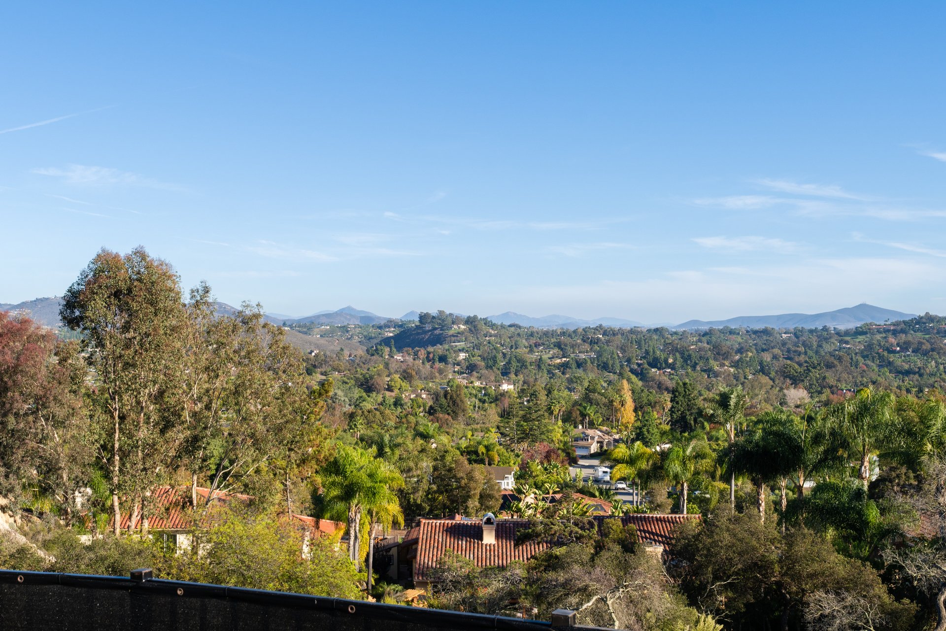 905 Olive Crest Dr.