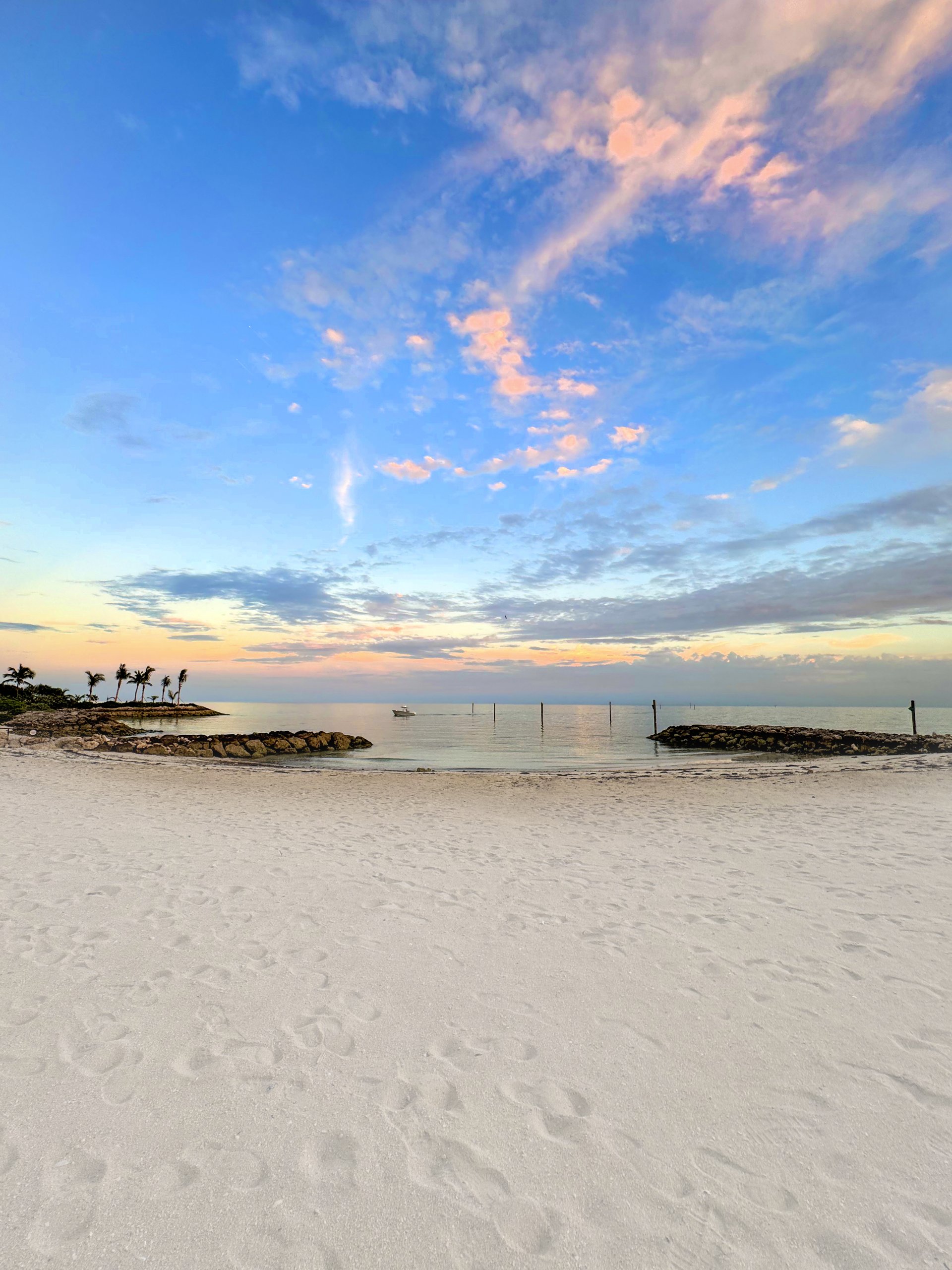 COVE, Palm Cay