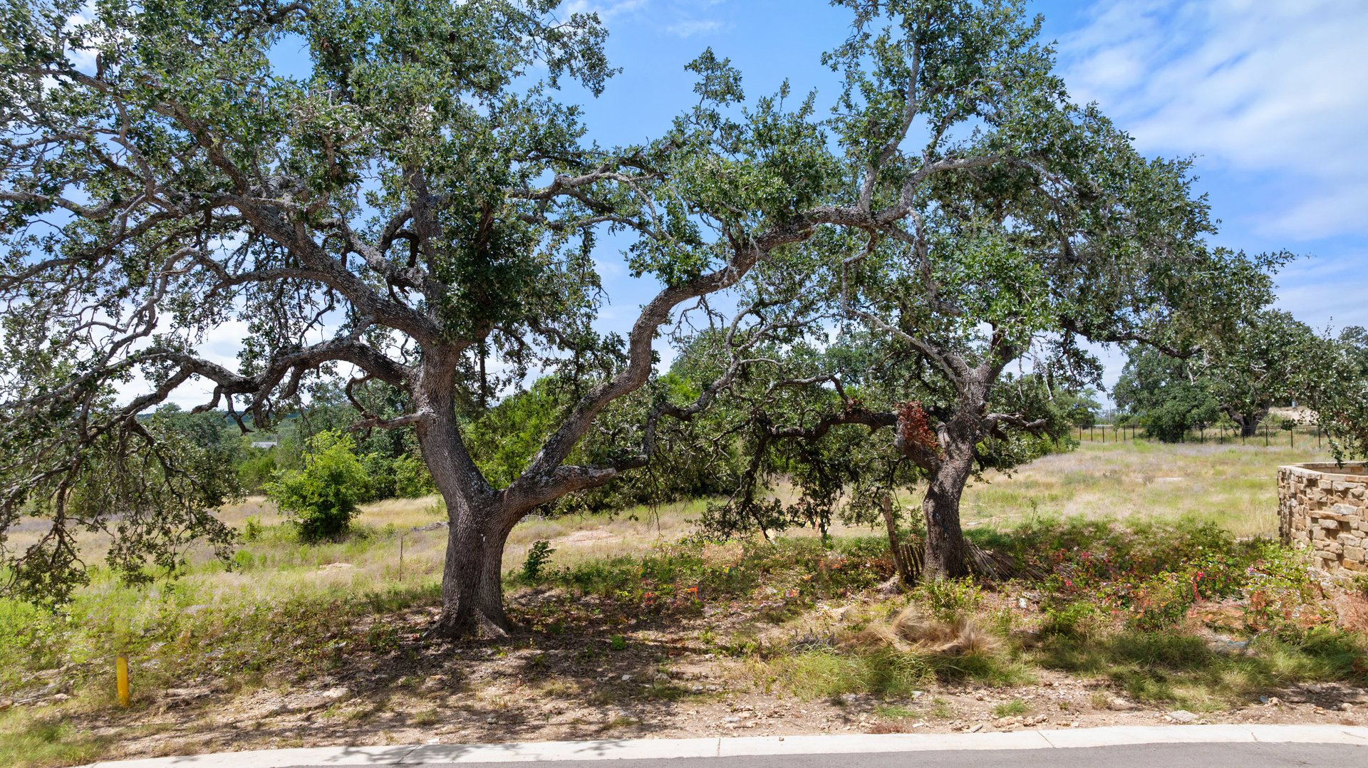 5300 Spring Preserve Trail LOT