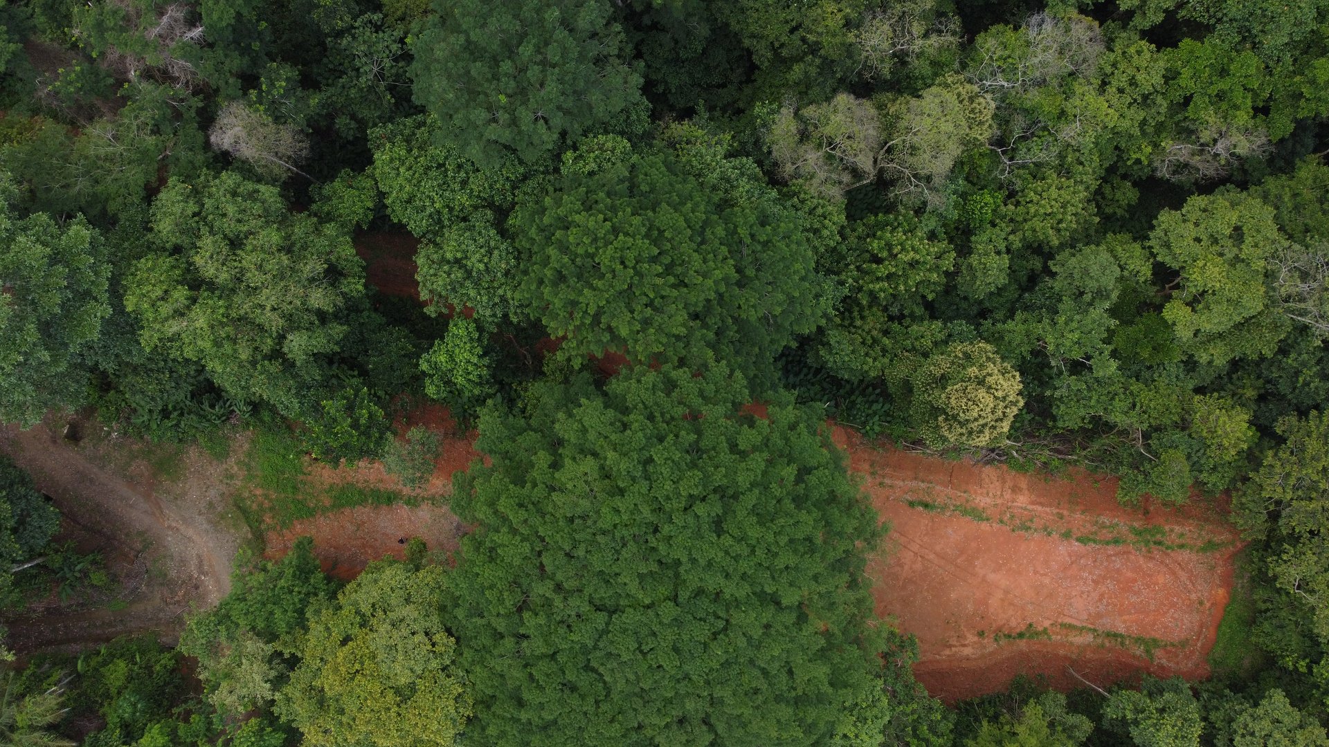 Jungle Oasis with River Frontage Near Dominical – 5.2 Acres of Pure Nature