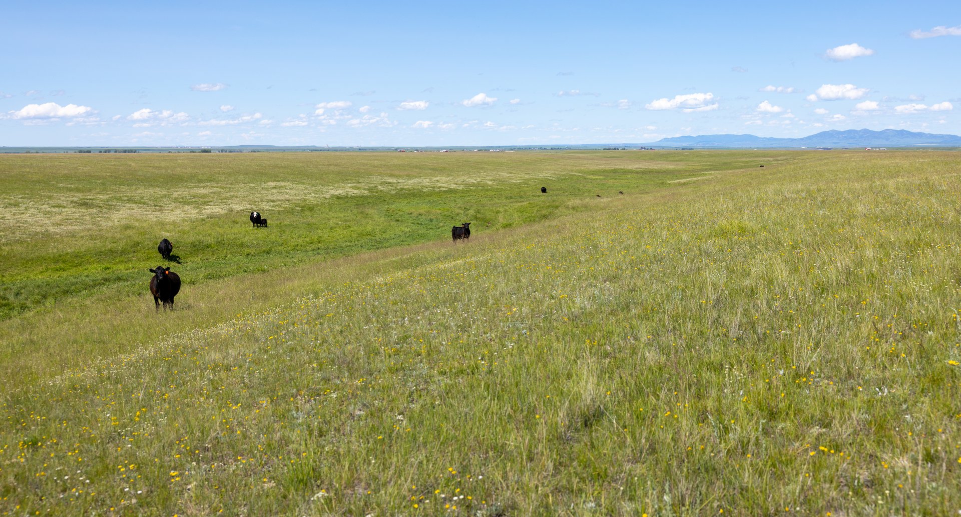 Hauck Coulee Ranch