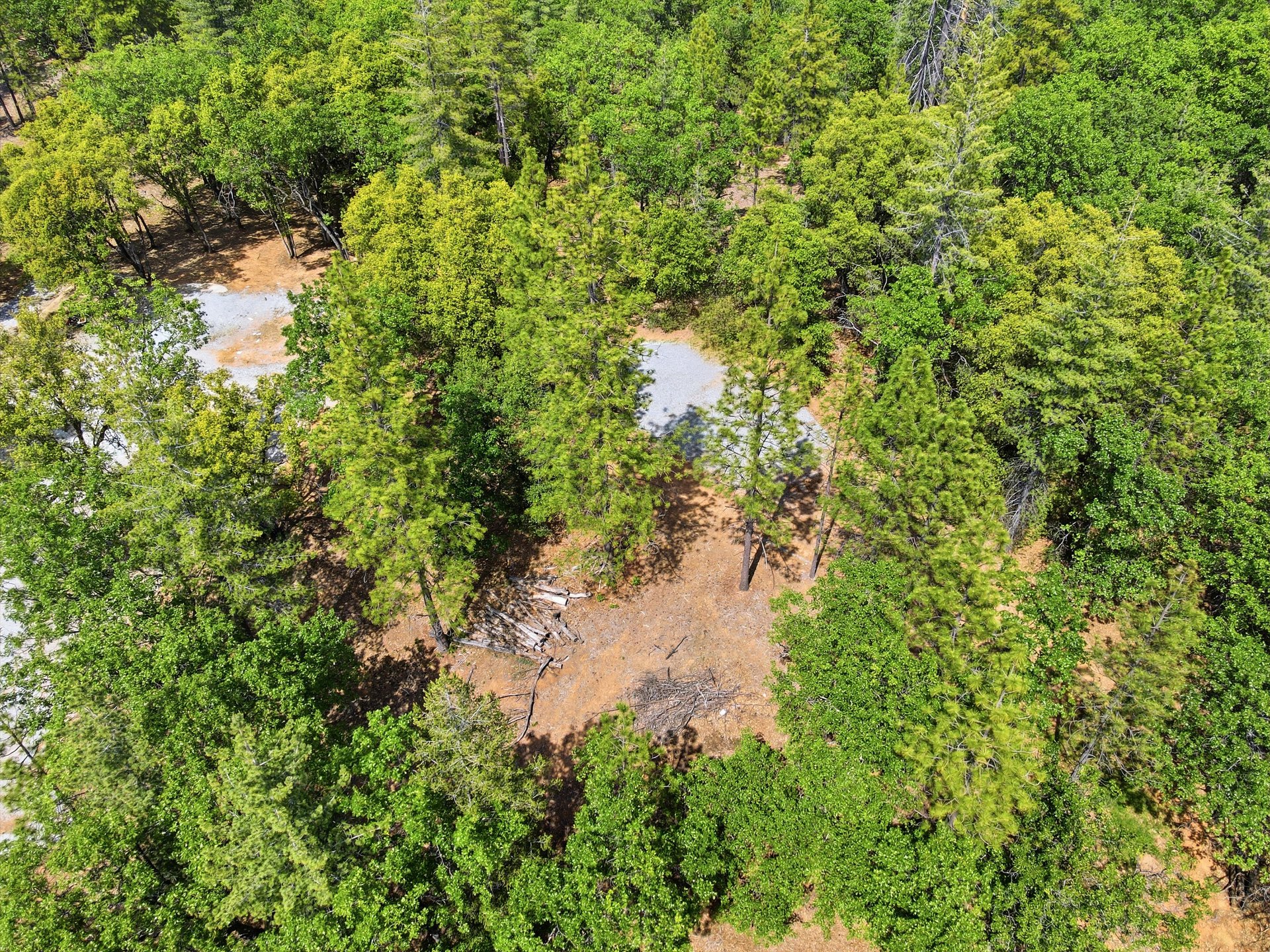 1451 Big Oak Rd