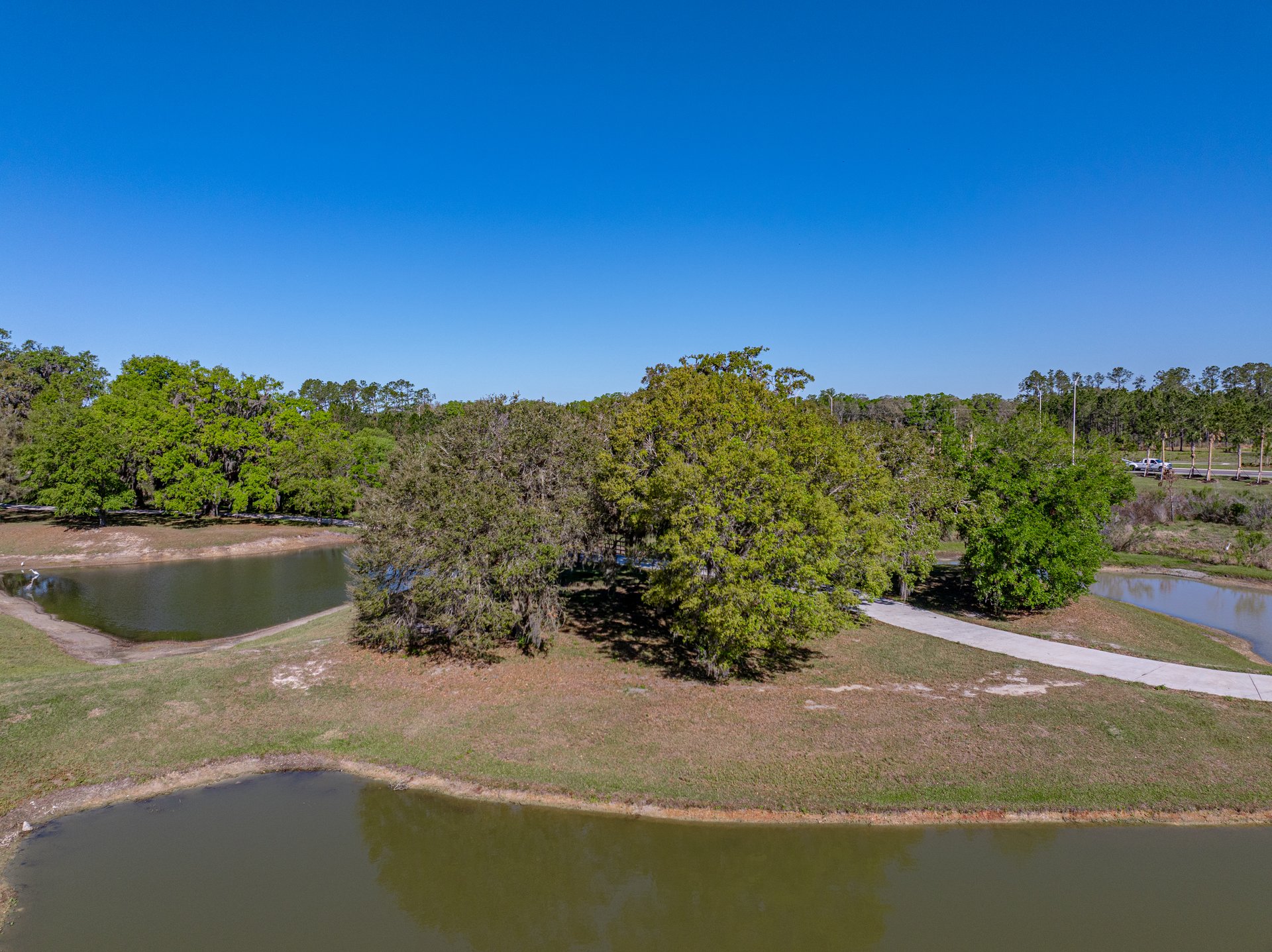 11465 JUNE BRIAR LOOP
