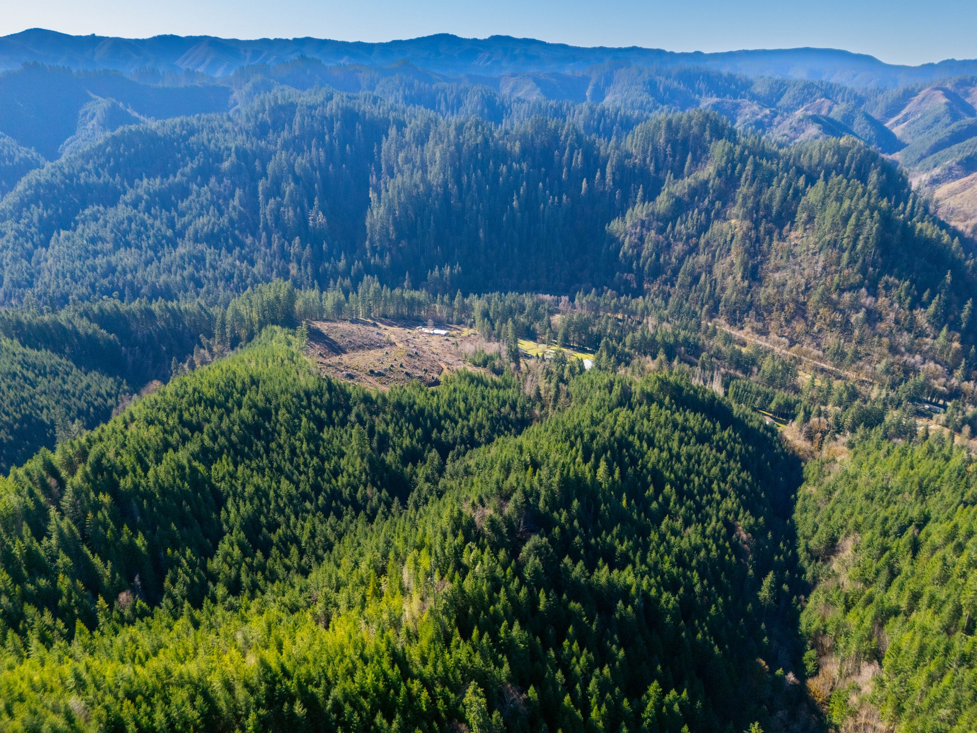 RICHARDSON TIMBER