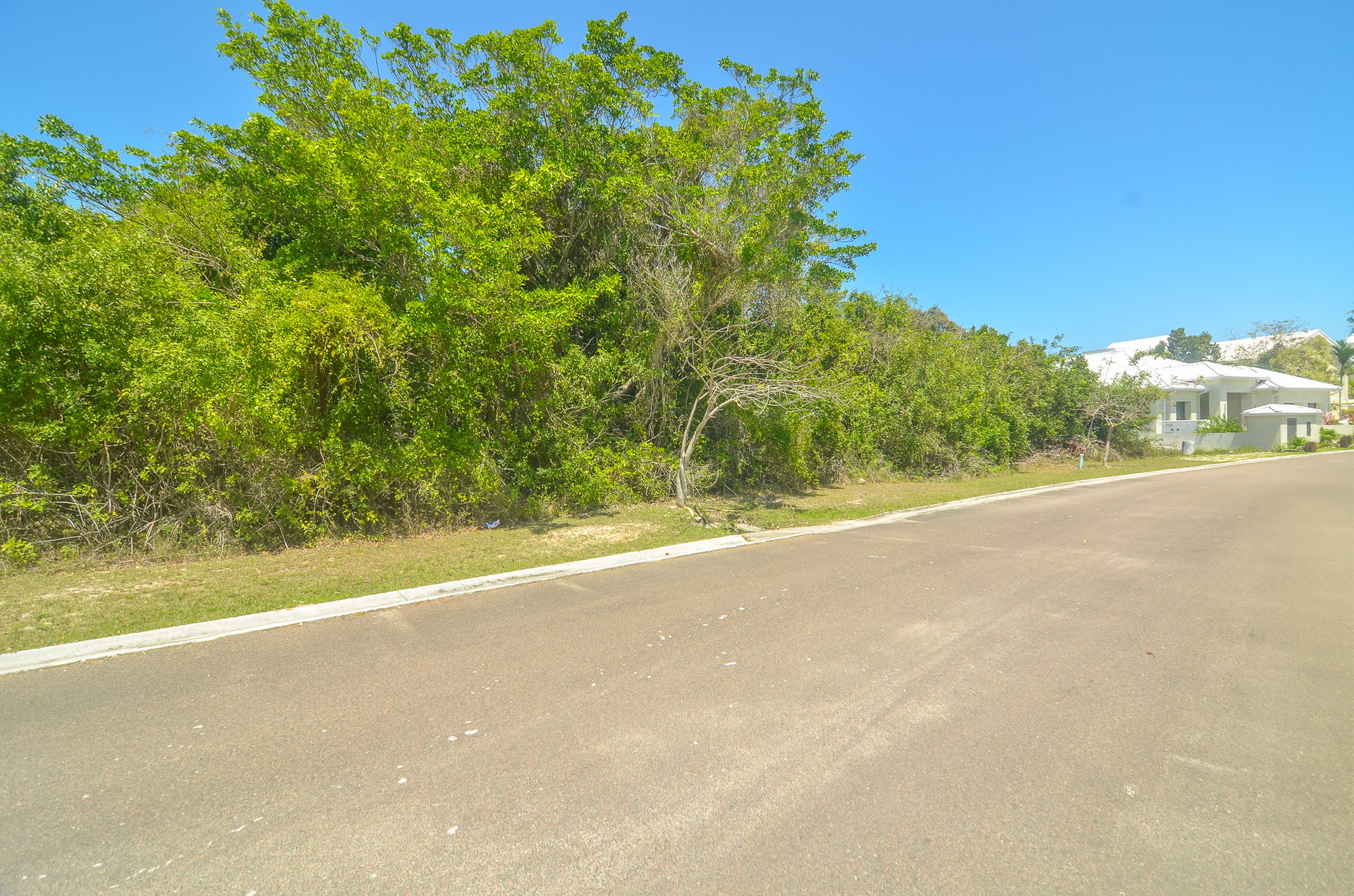 Lot #81 Lyford Hills